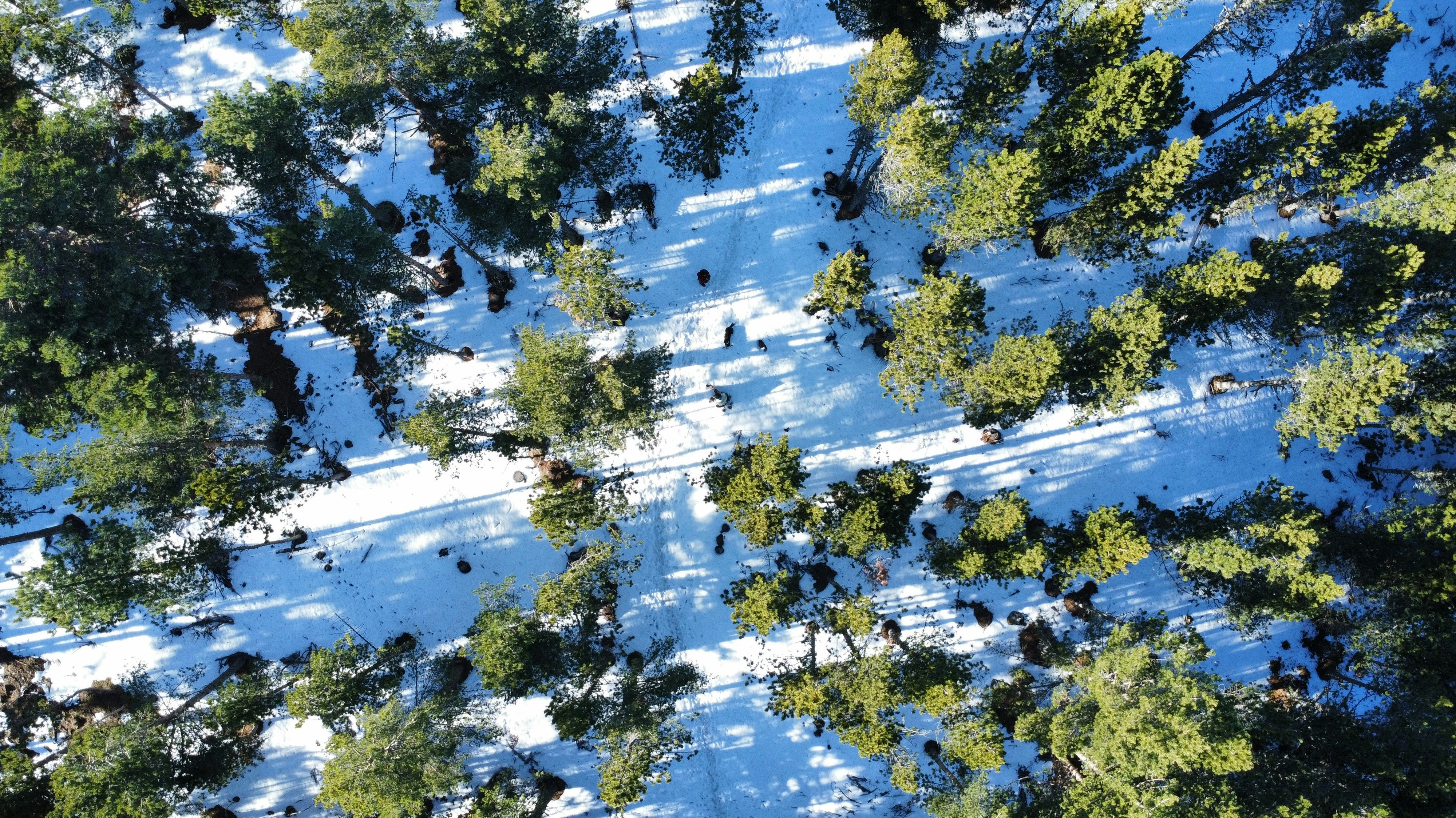 Photo by nathan_cima