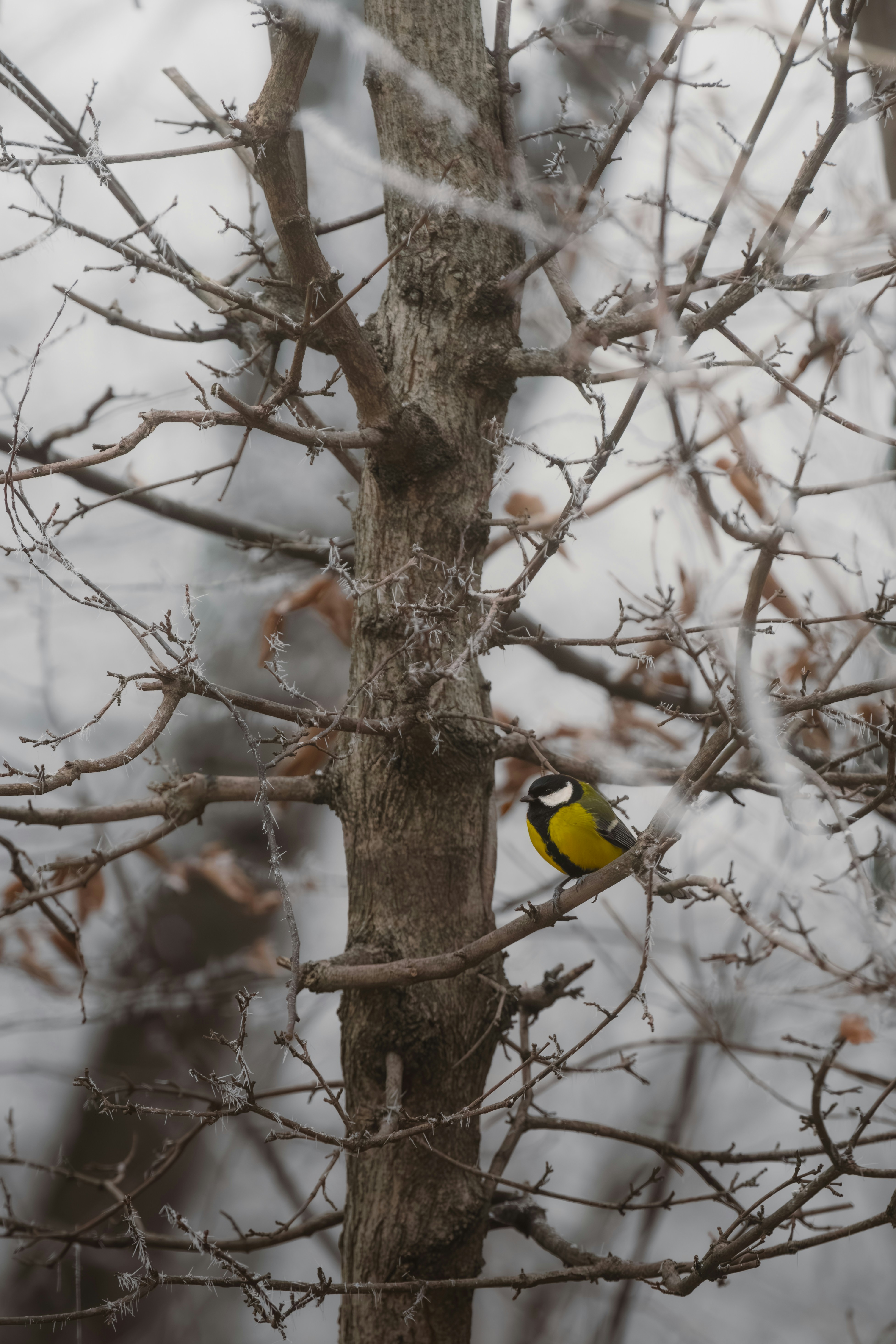 Photo by ahmetyuksek