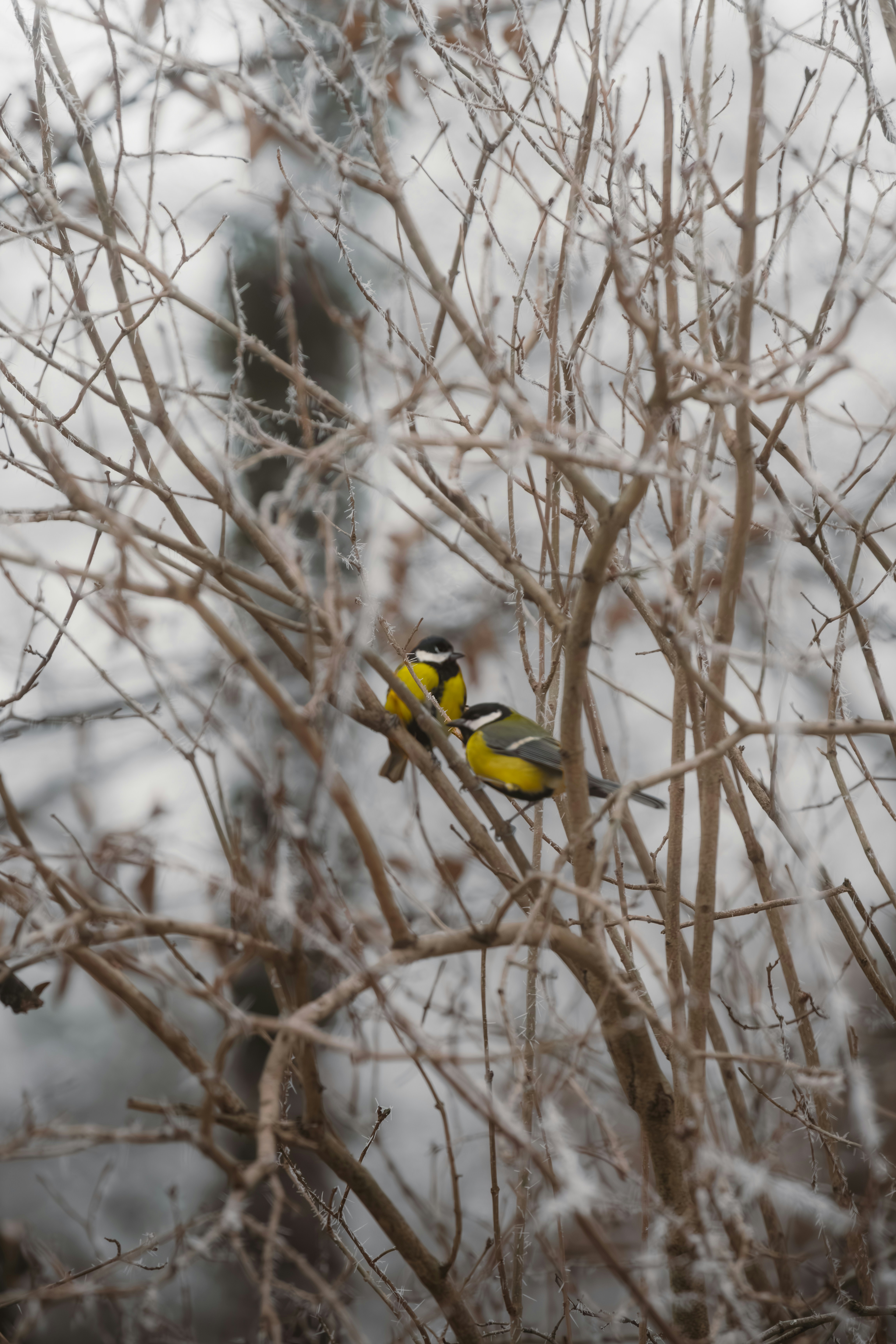 Photo by ahmetyuksek