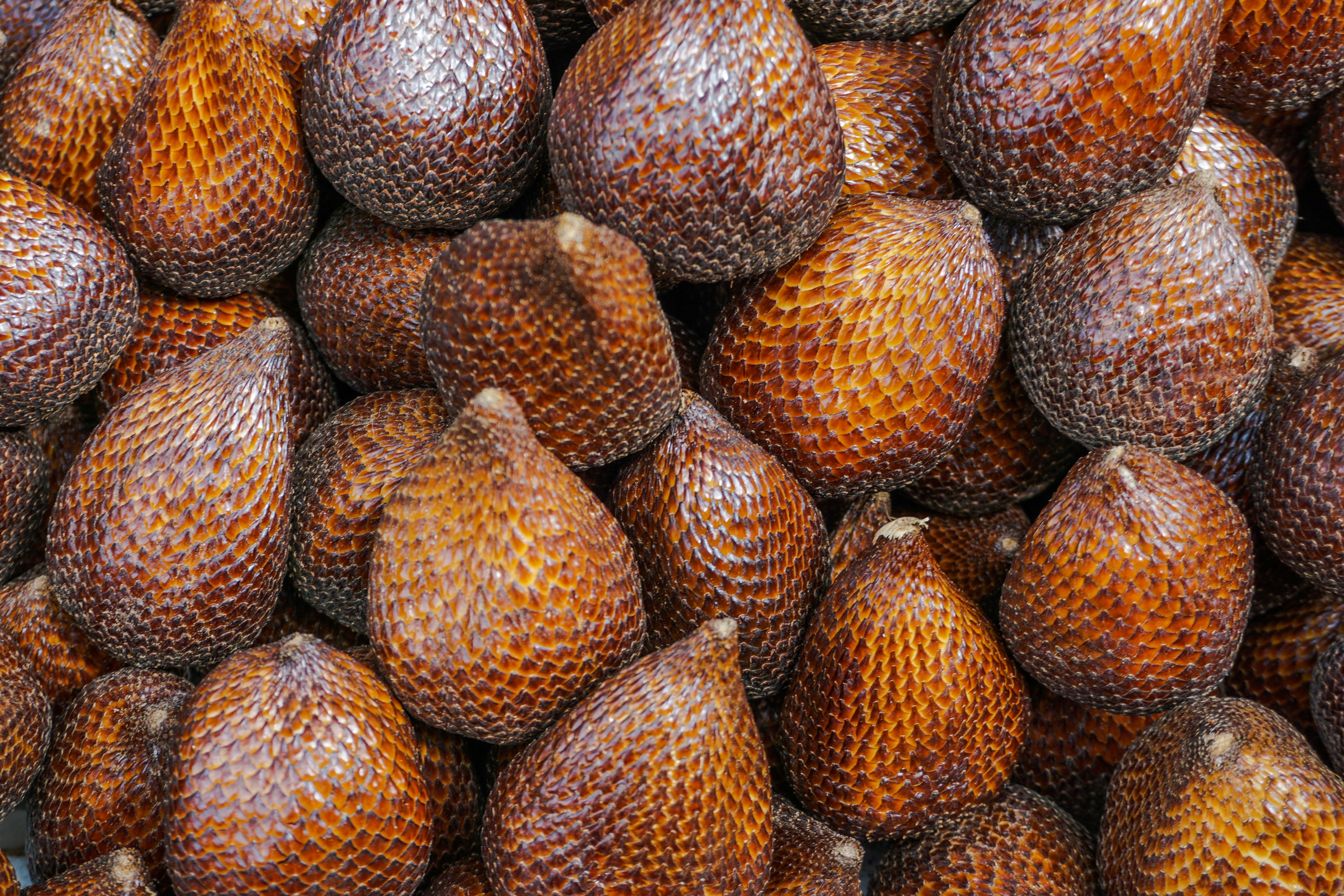 Salak