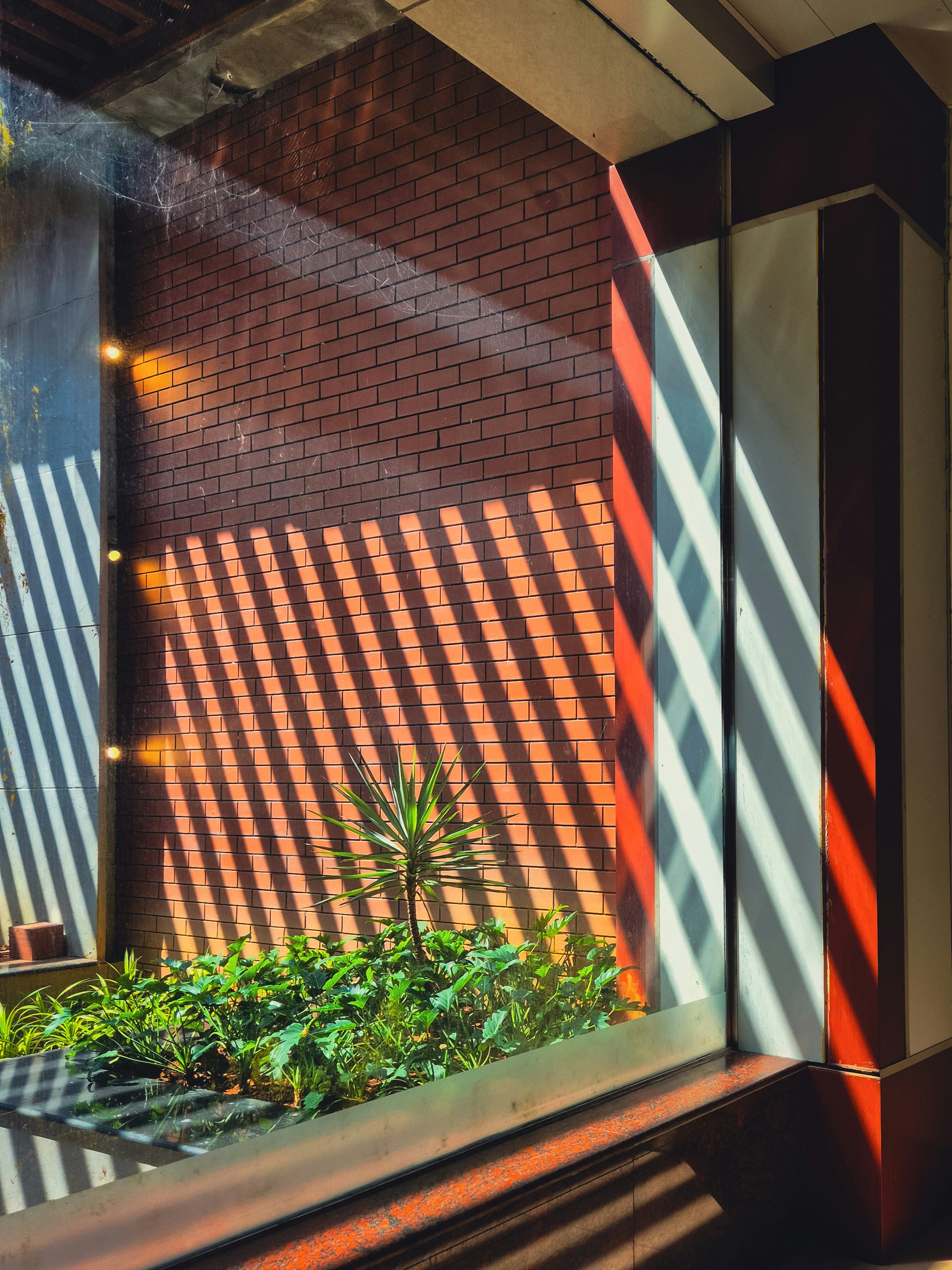 Photo by adhitya_2505