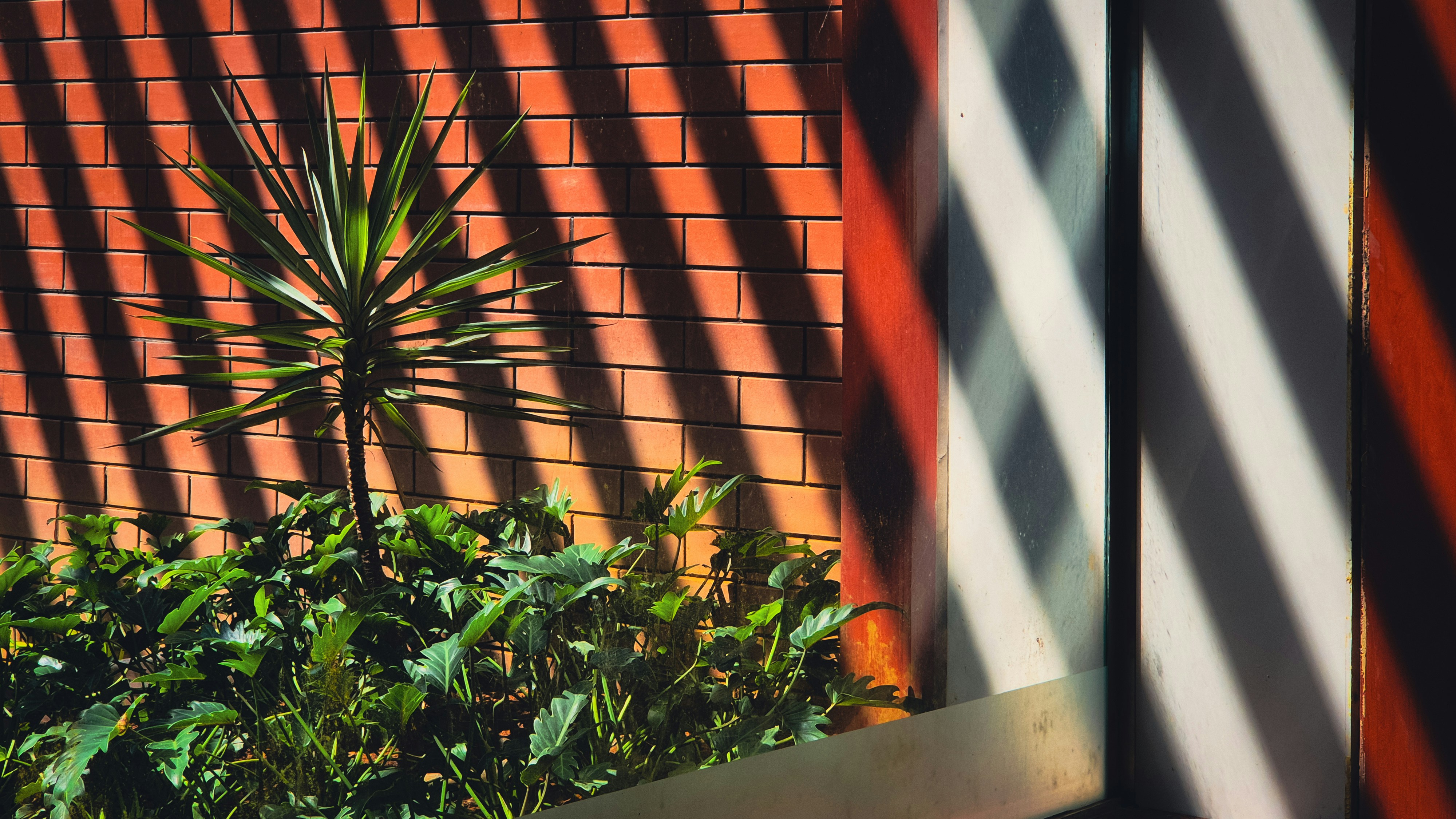 Photo by adhitya_2505