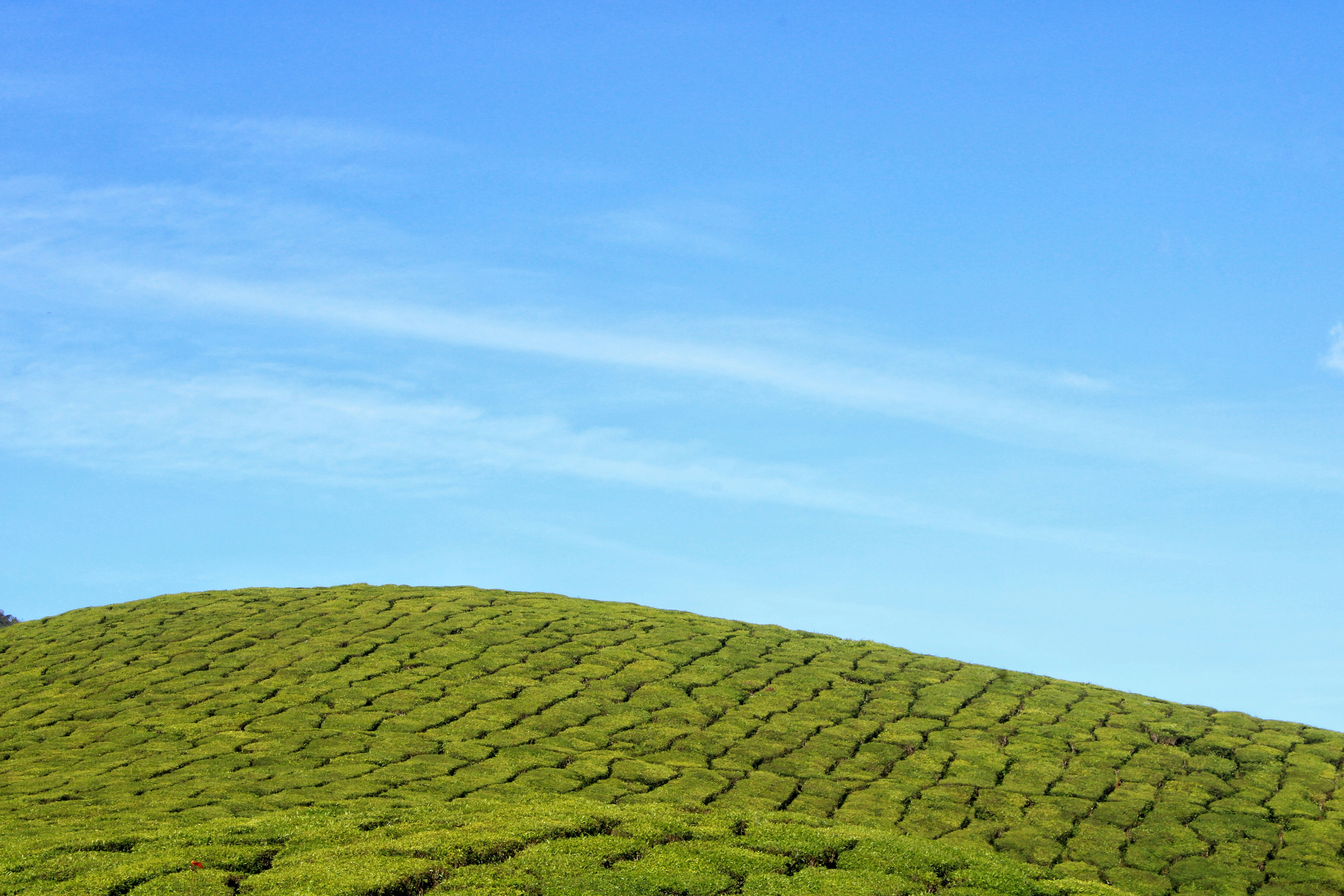 A grassy hill with a blue sky in the background