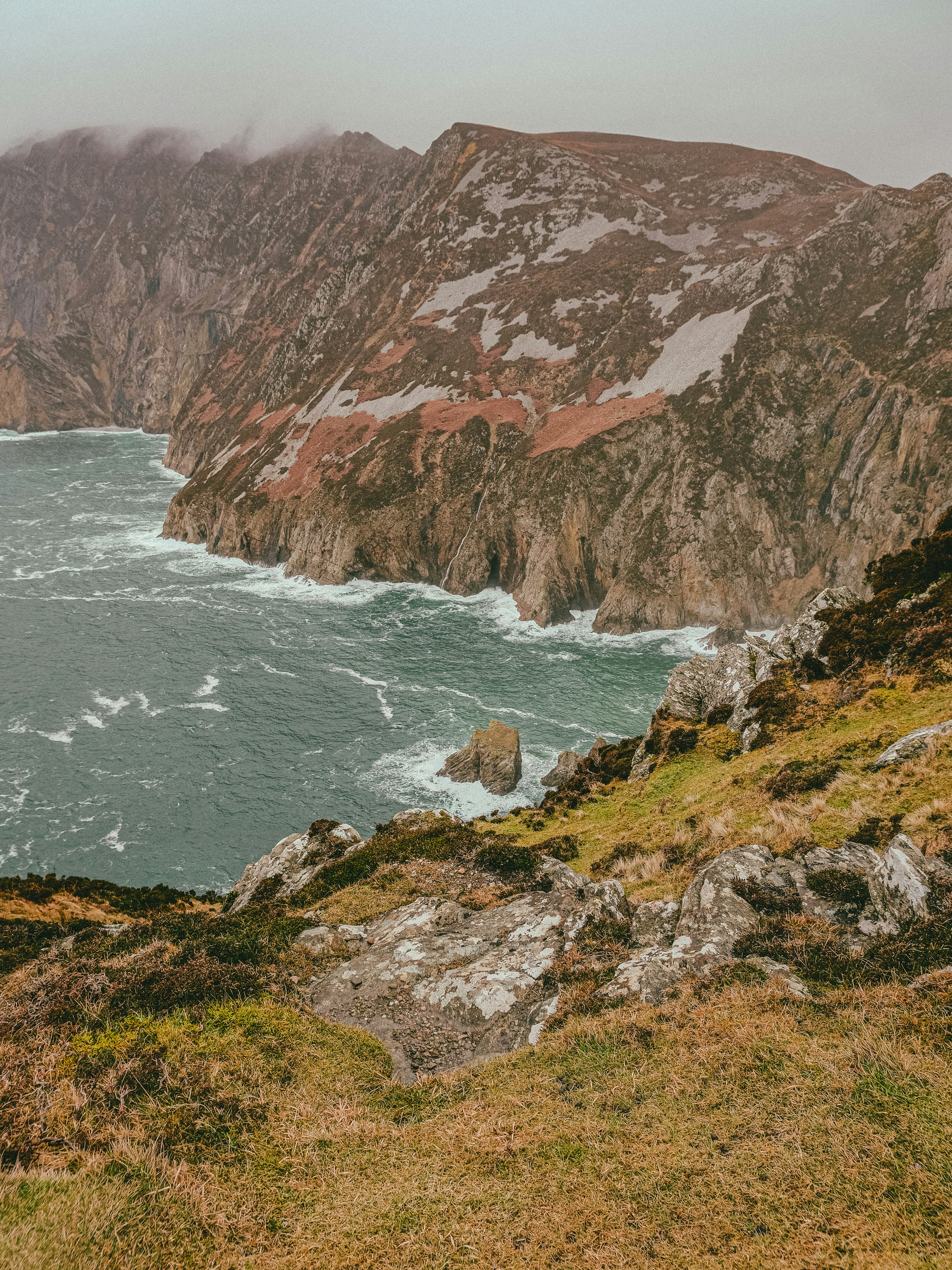 A couple of sheep standing on top of a lush green hillside