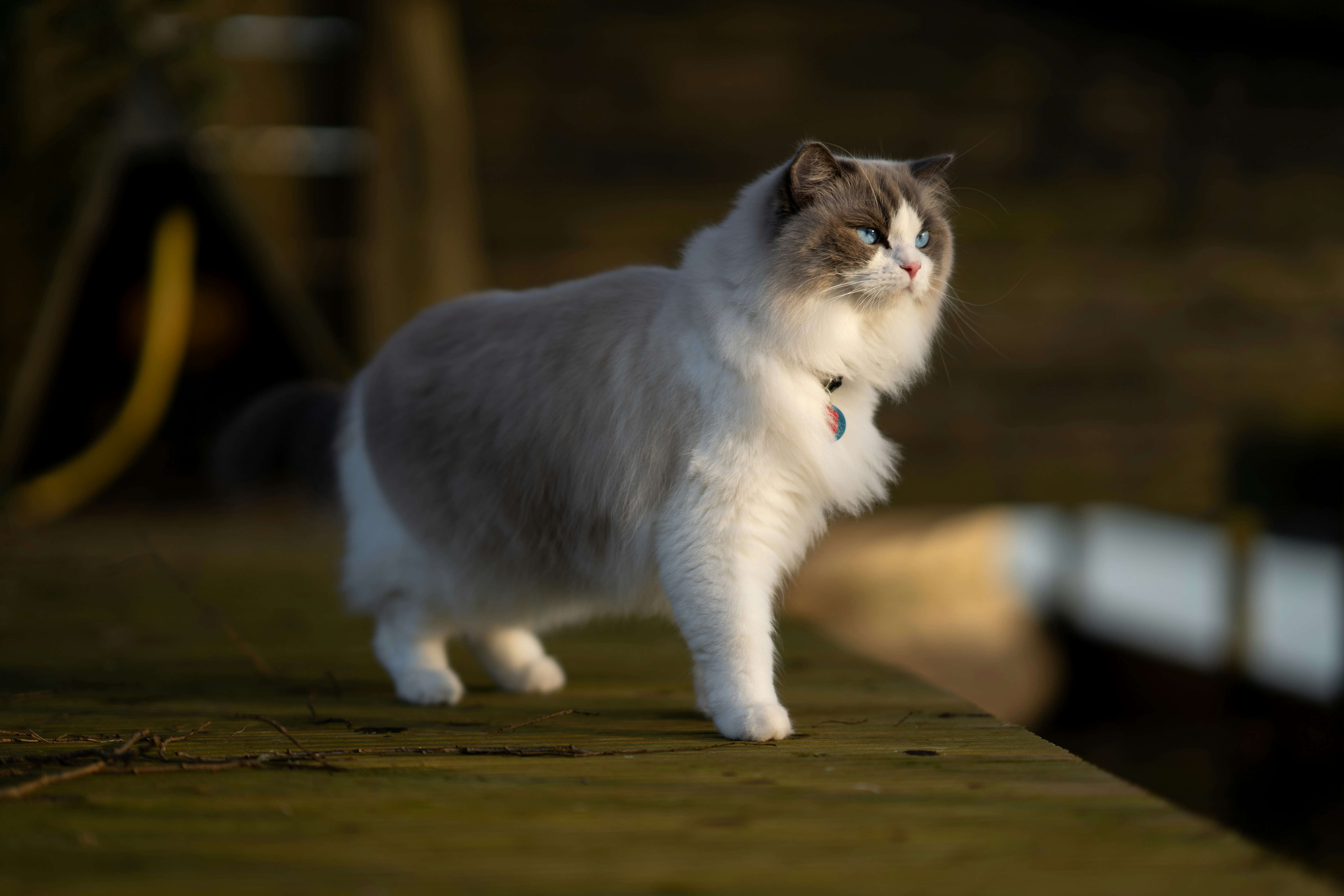 Night Owls and Early Risers Alike (image credits: unsplash)