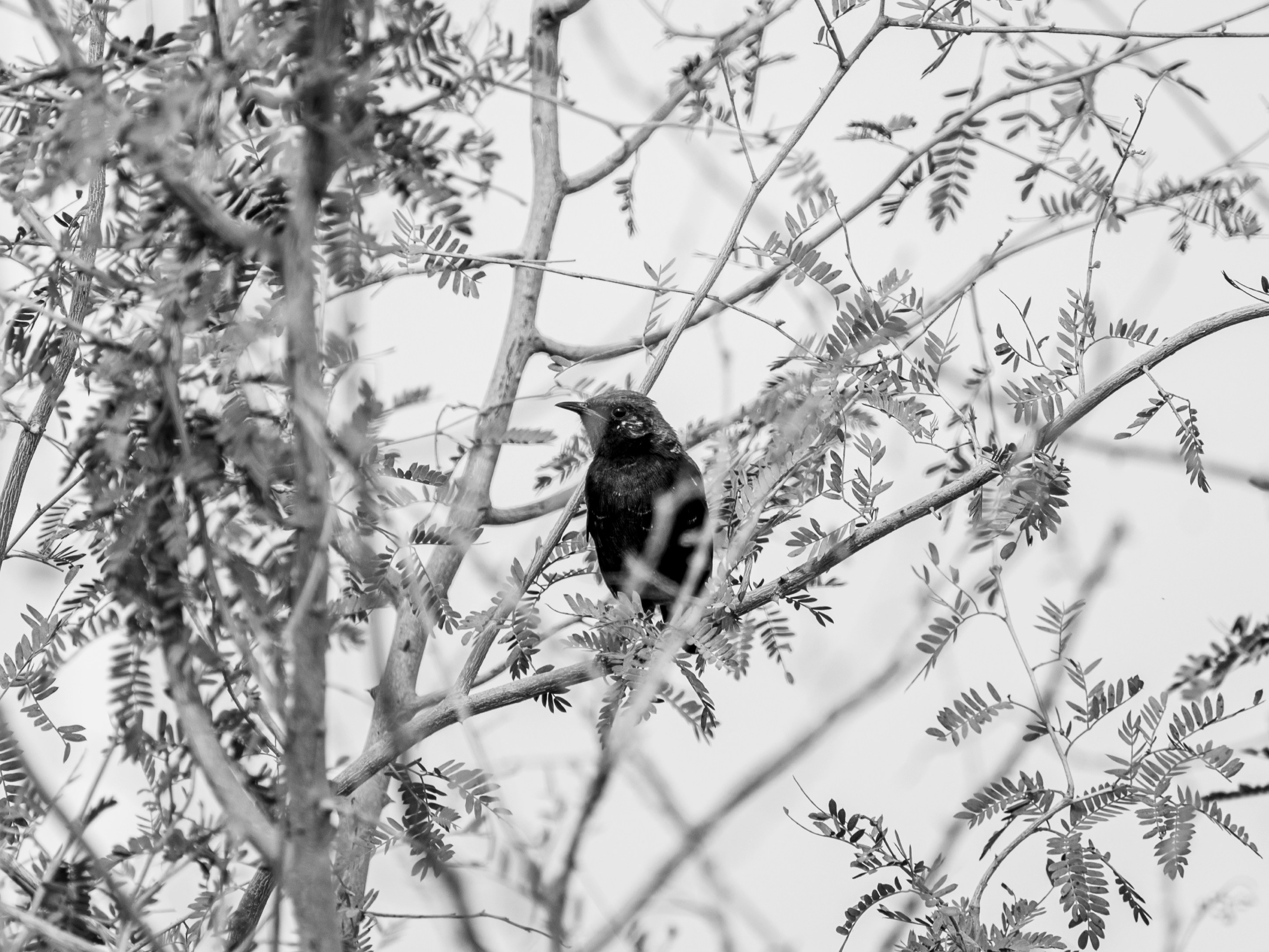 Photo by anandsuthar966