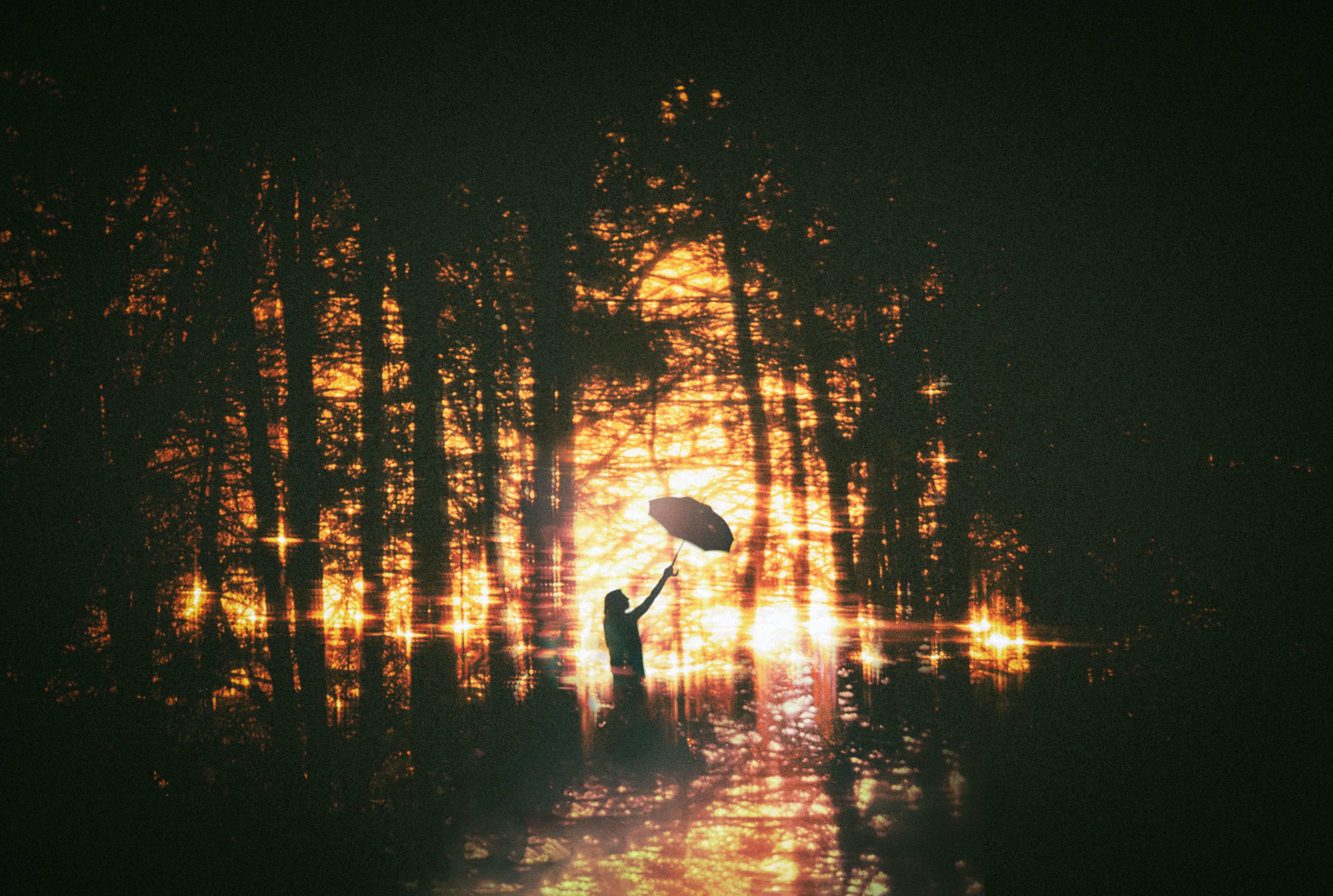 Une personne tenant un parapluie dans une forêt sombre