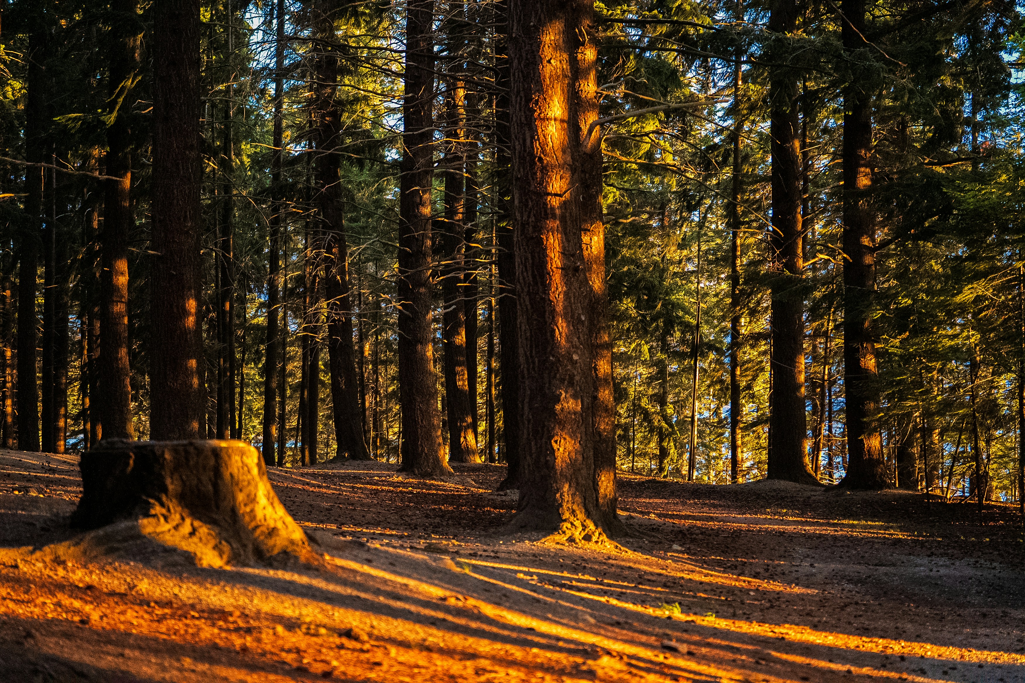 Queenstown - South Island of NZ