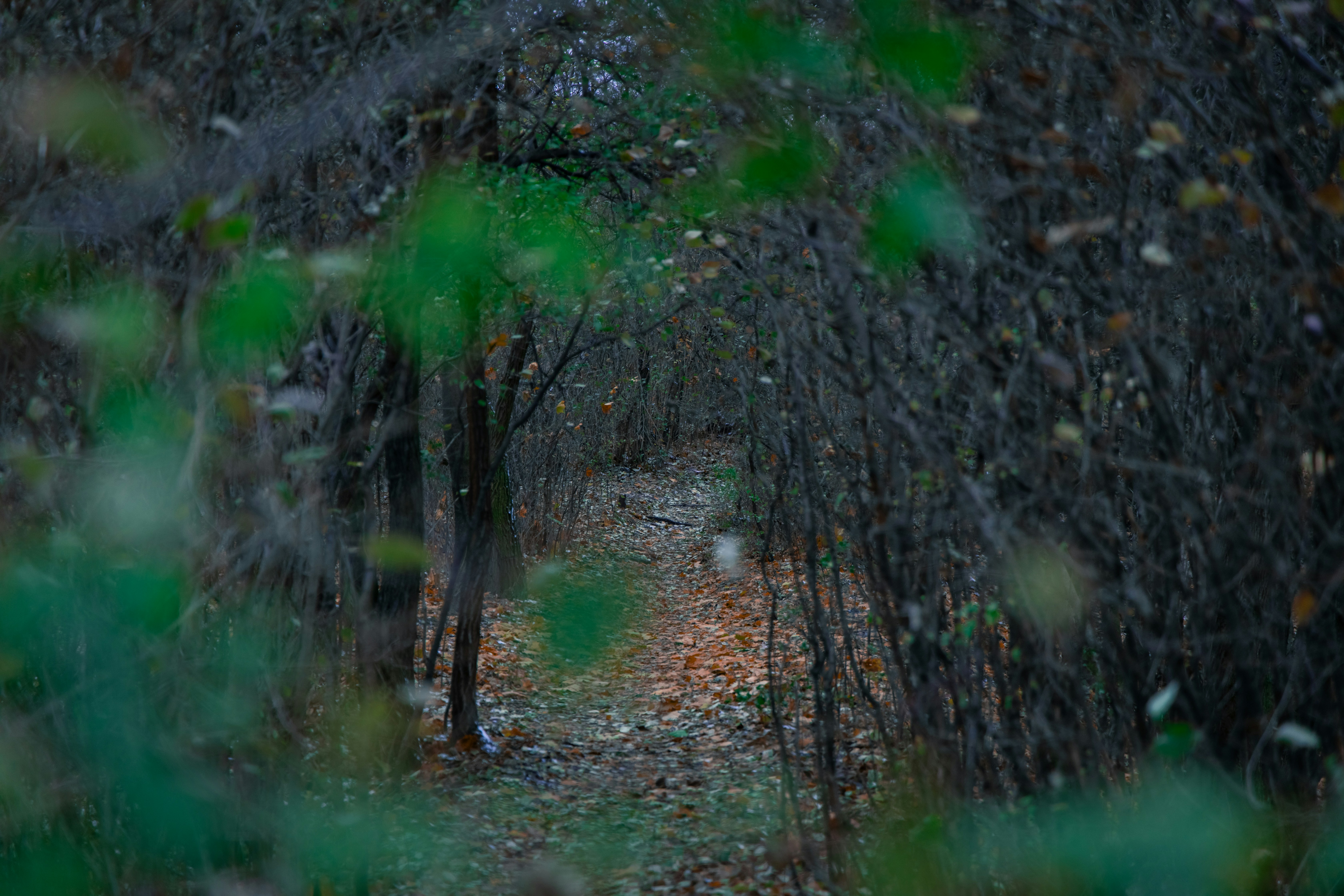 Photo by artem_kniaz