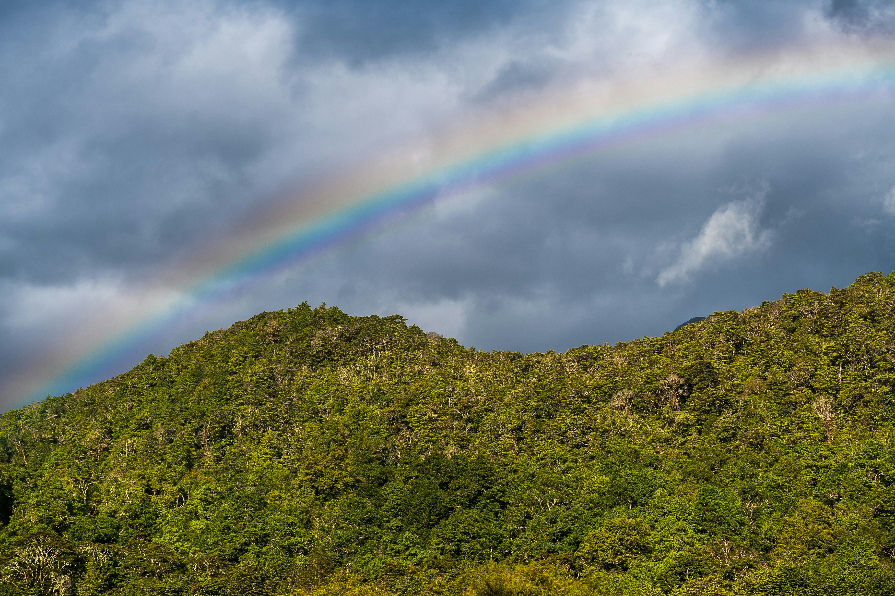 Te Anau, New Zealand - None