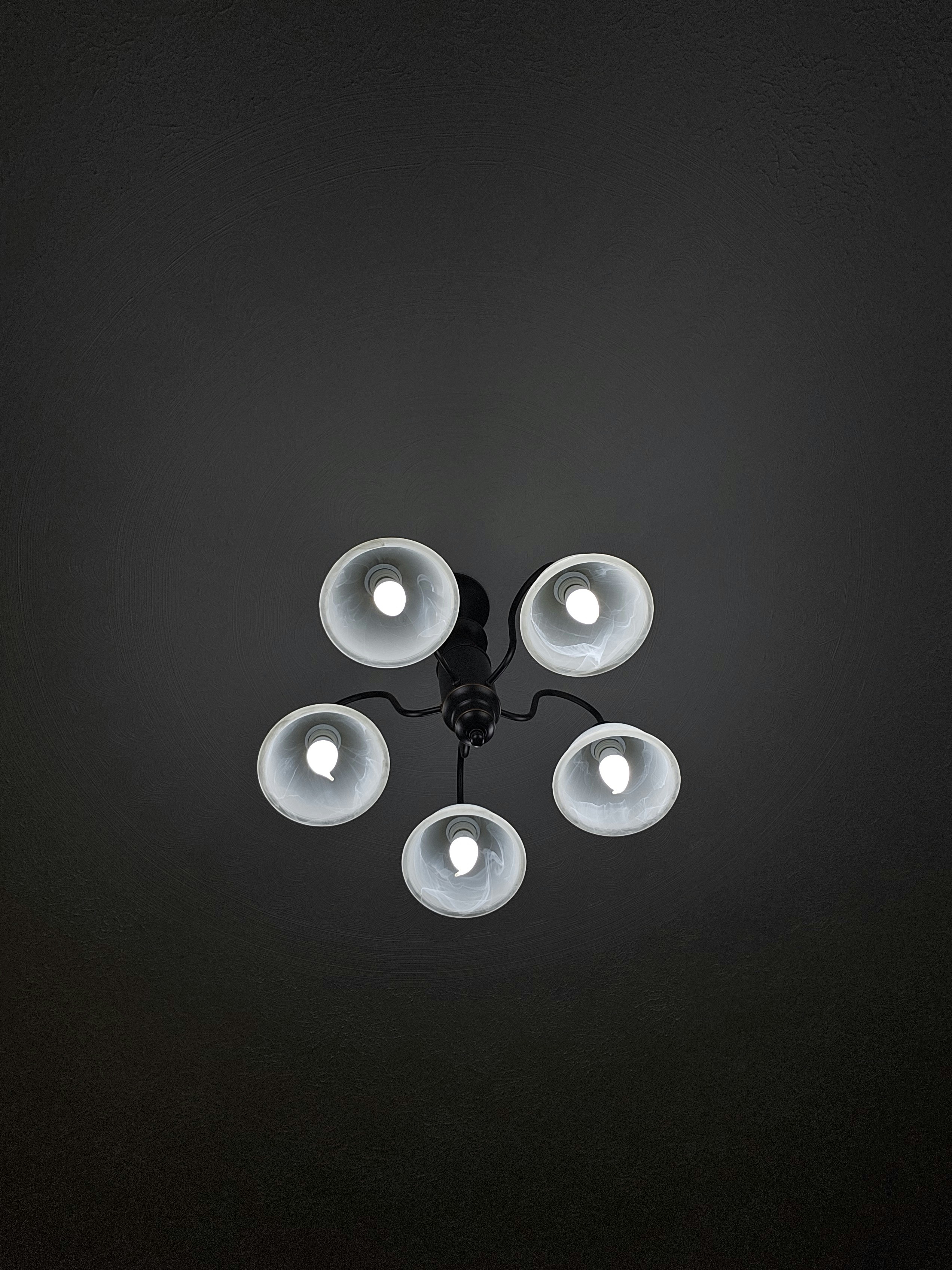 Photo by marie_martin1