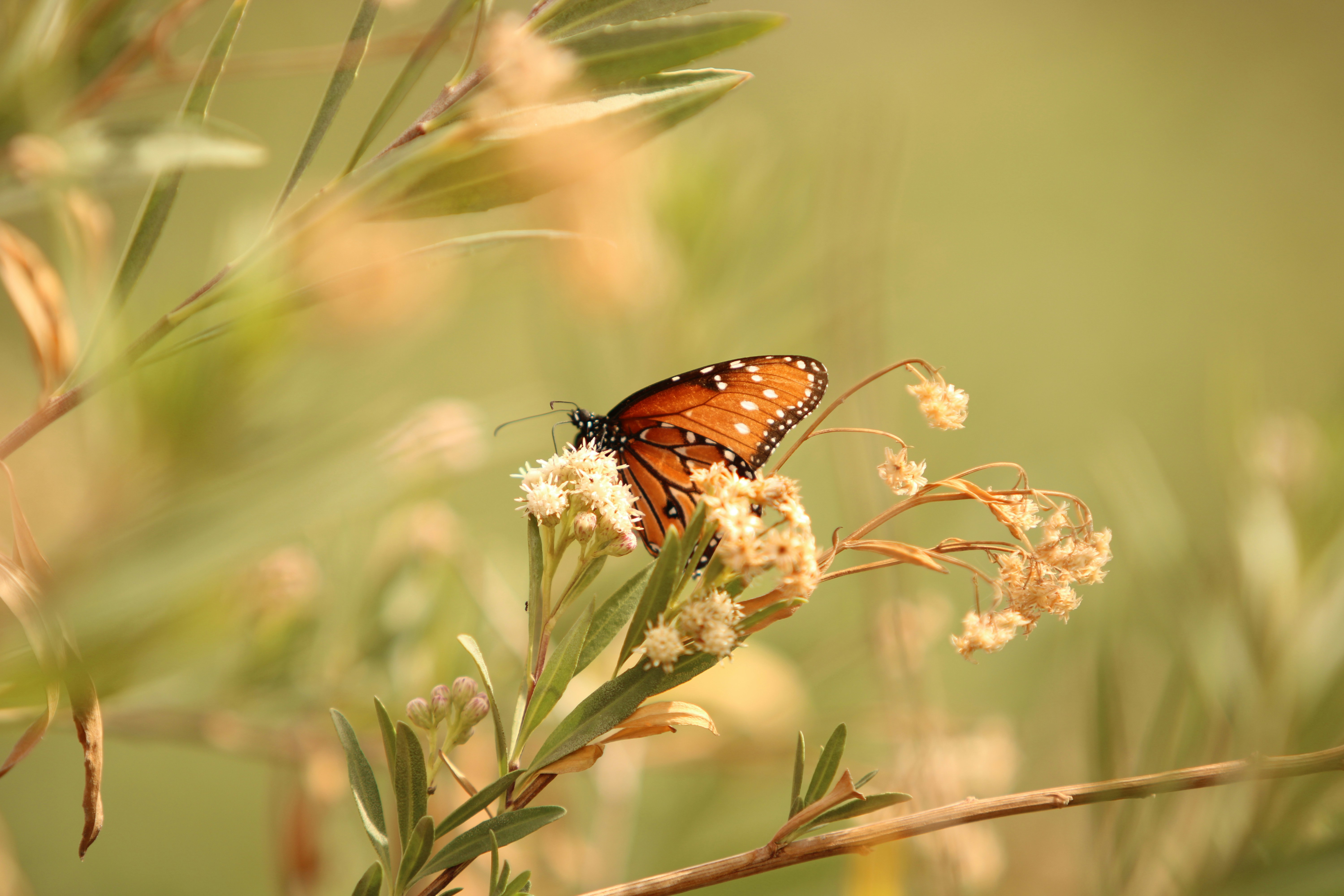 Photo by marie_martin1