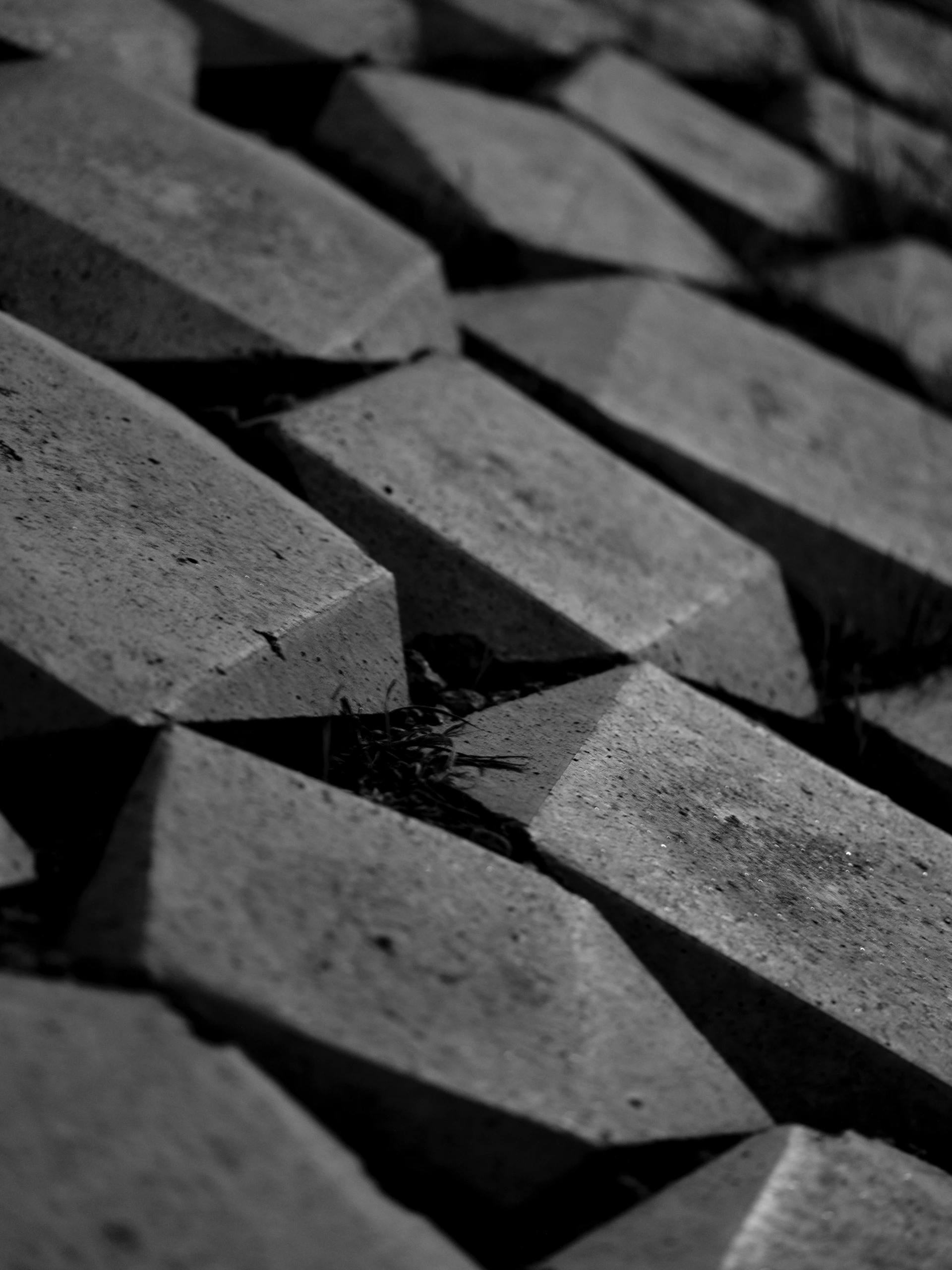 A black and white photo of a brick wall