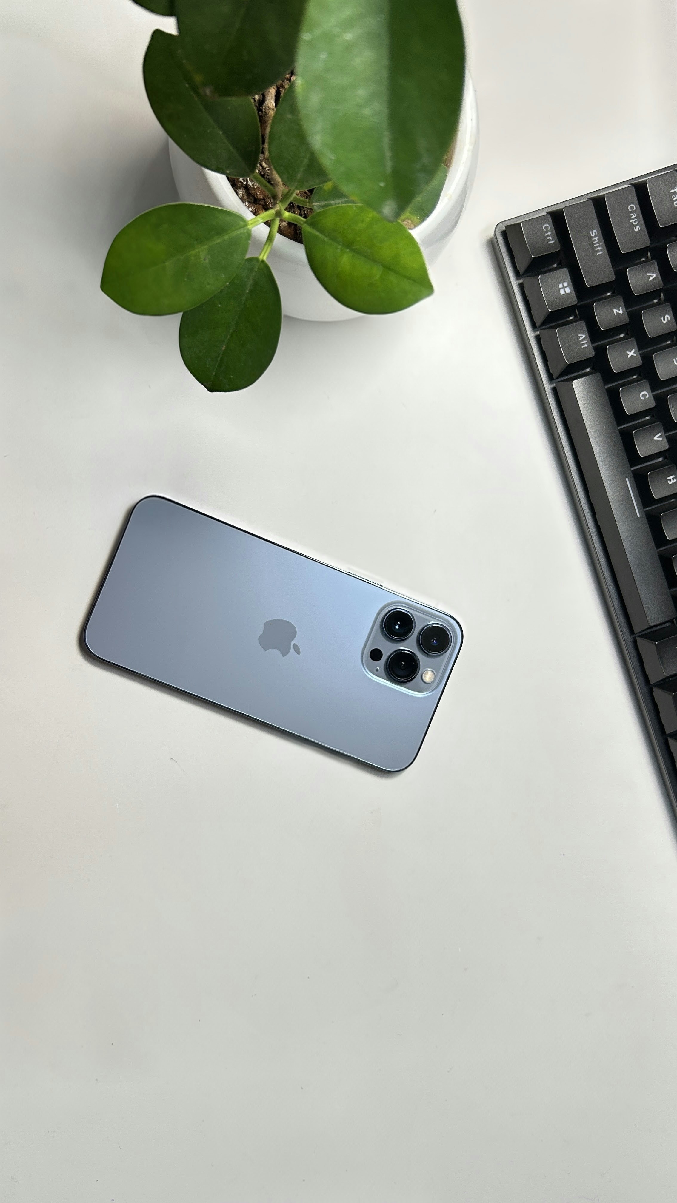 Photo by sunilkumar1462