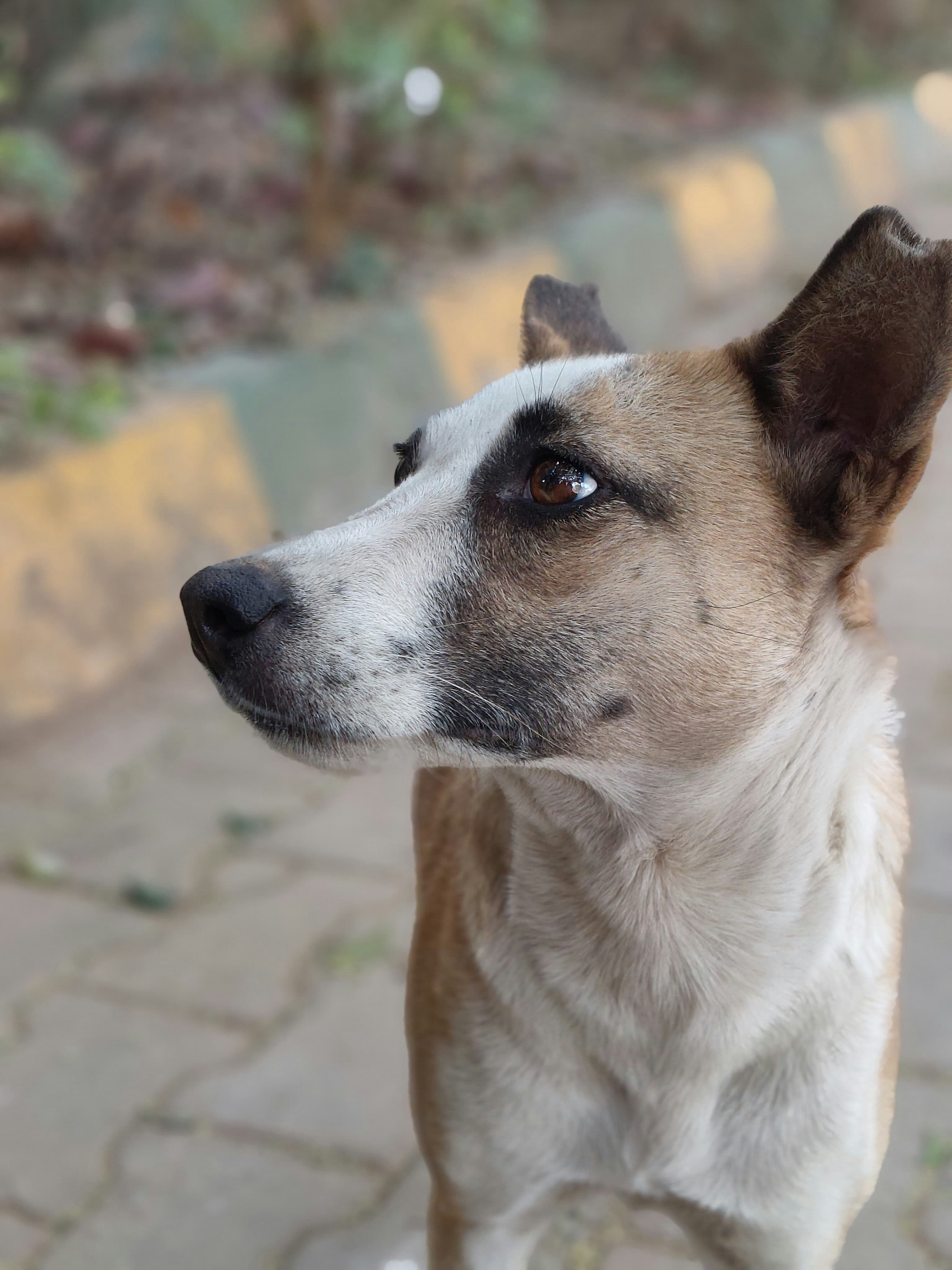 Photo by agrianu_2005