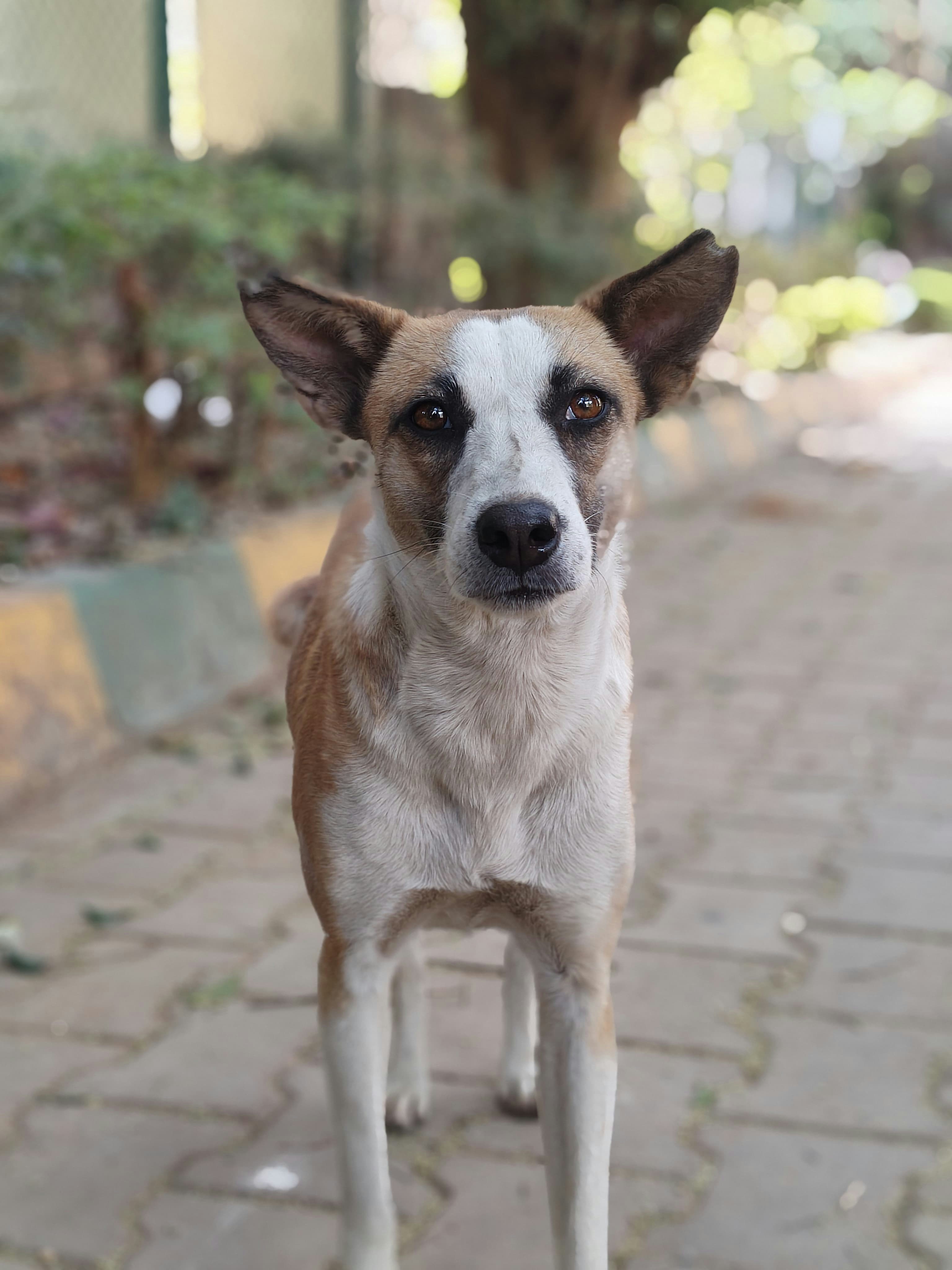 Photo by agrianu_2005