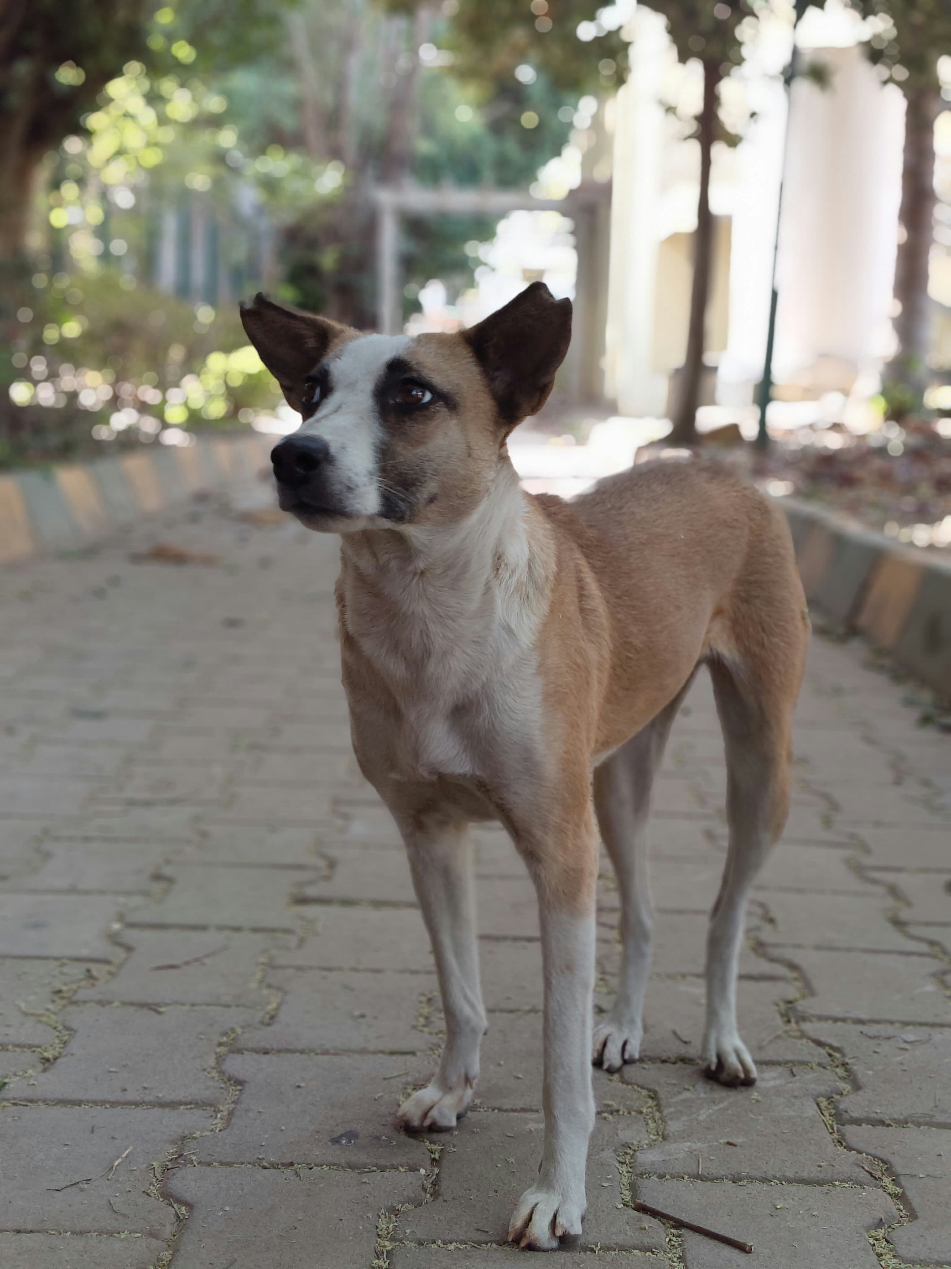 Photo by agrianu_2005