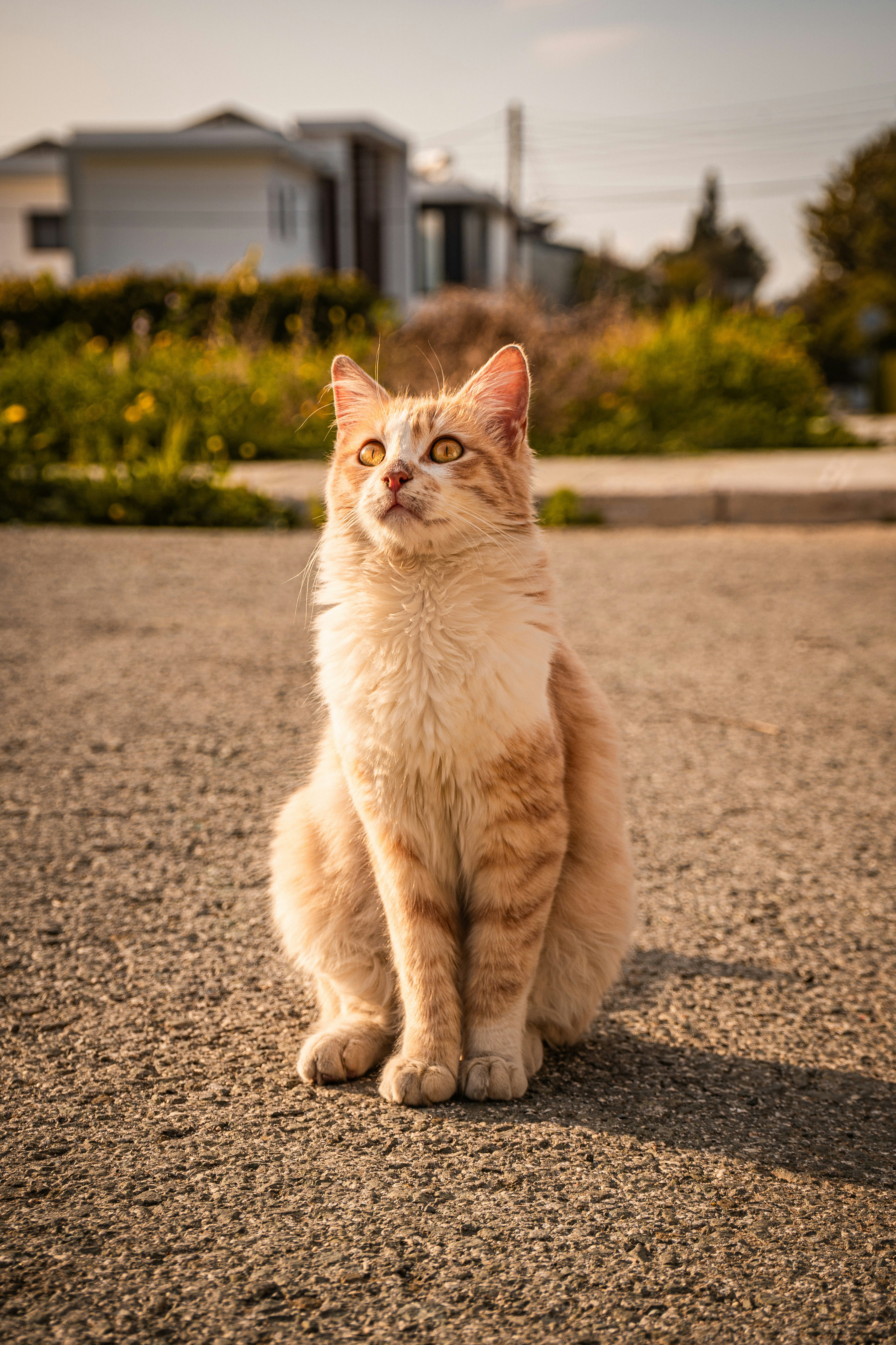 Intelligence That Surprises (image credits: unsplash)