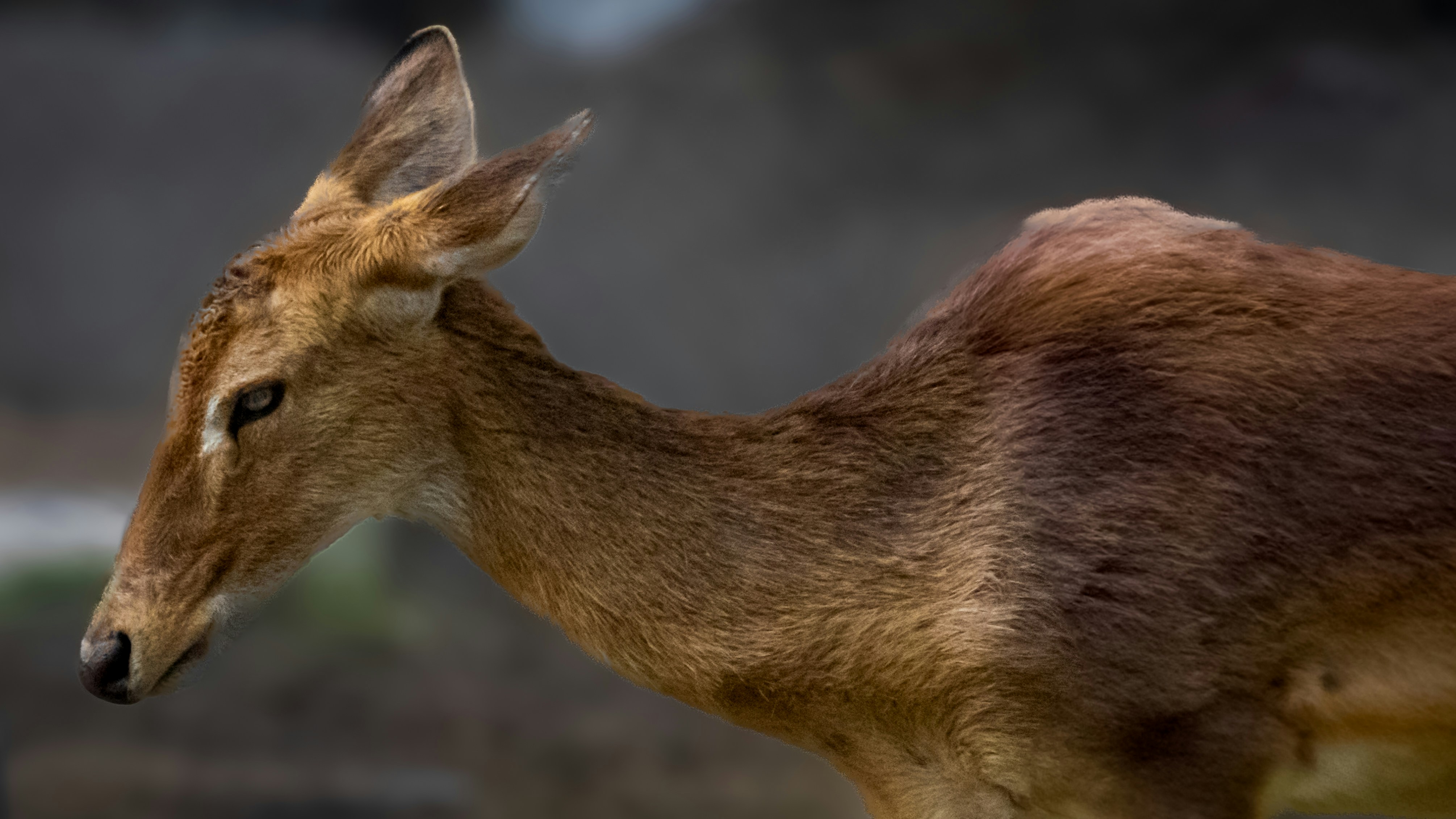 Photo by suryadoingstuff