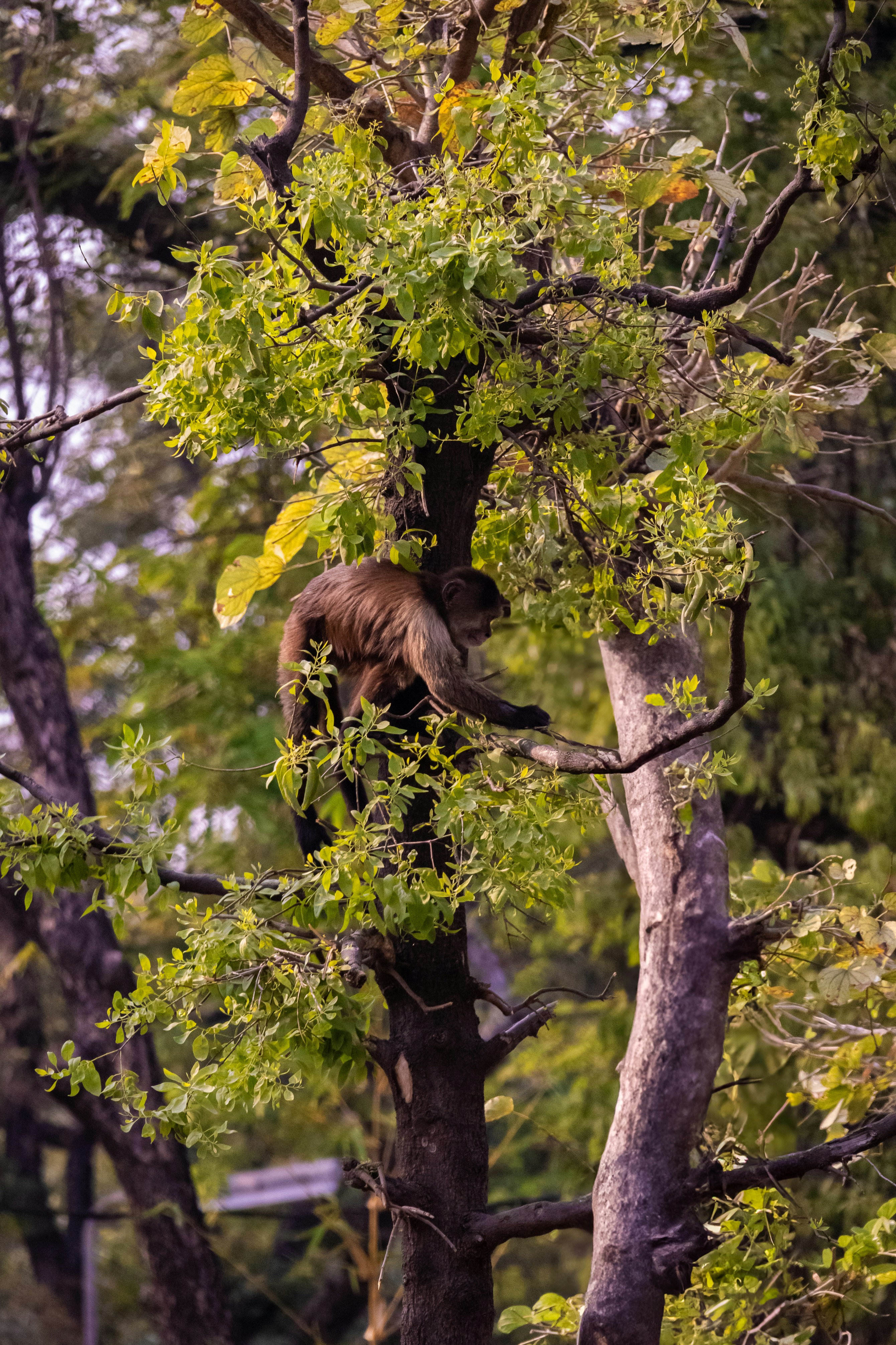 Photo by suryadoingstuff