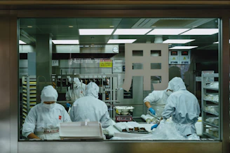 A group of people working in a kitchen