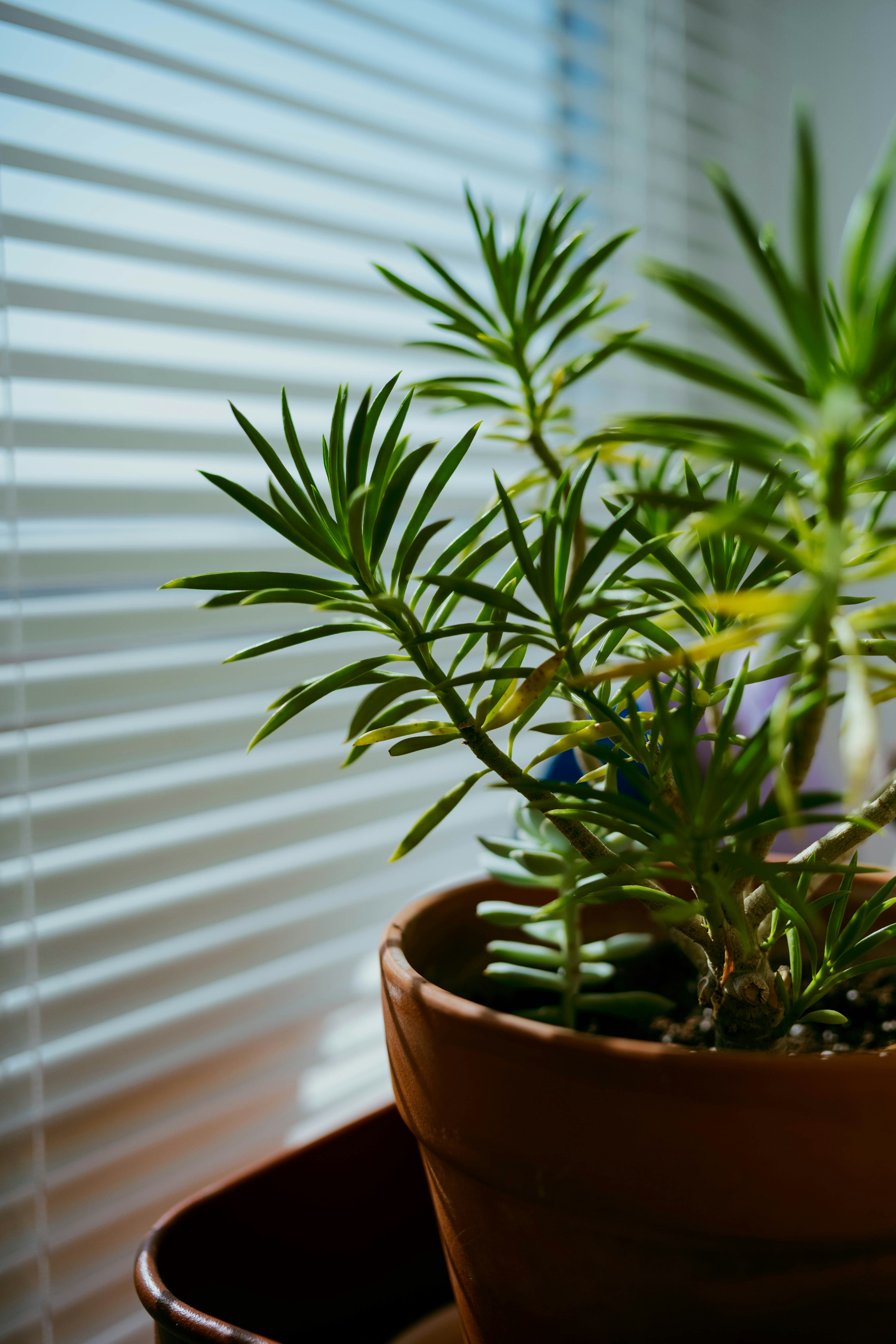 Photo by tommaomaoer