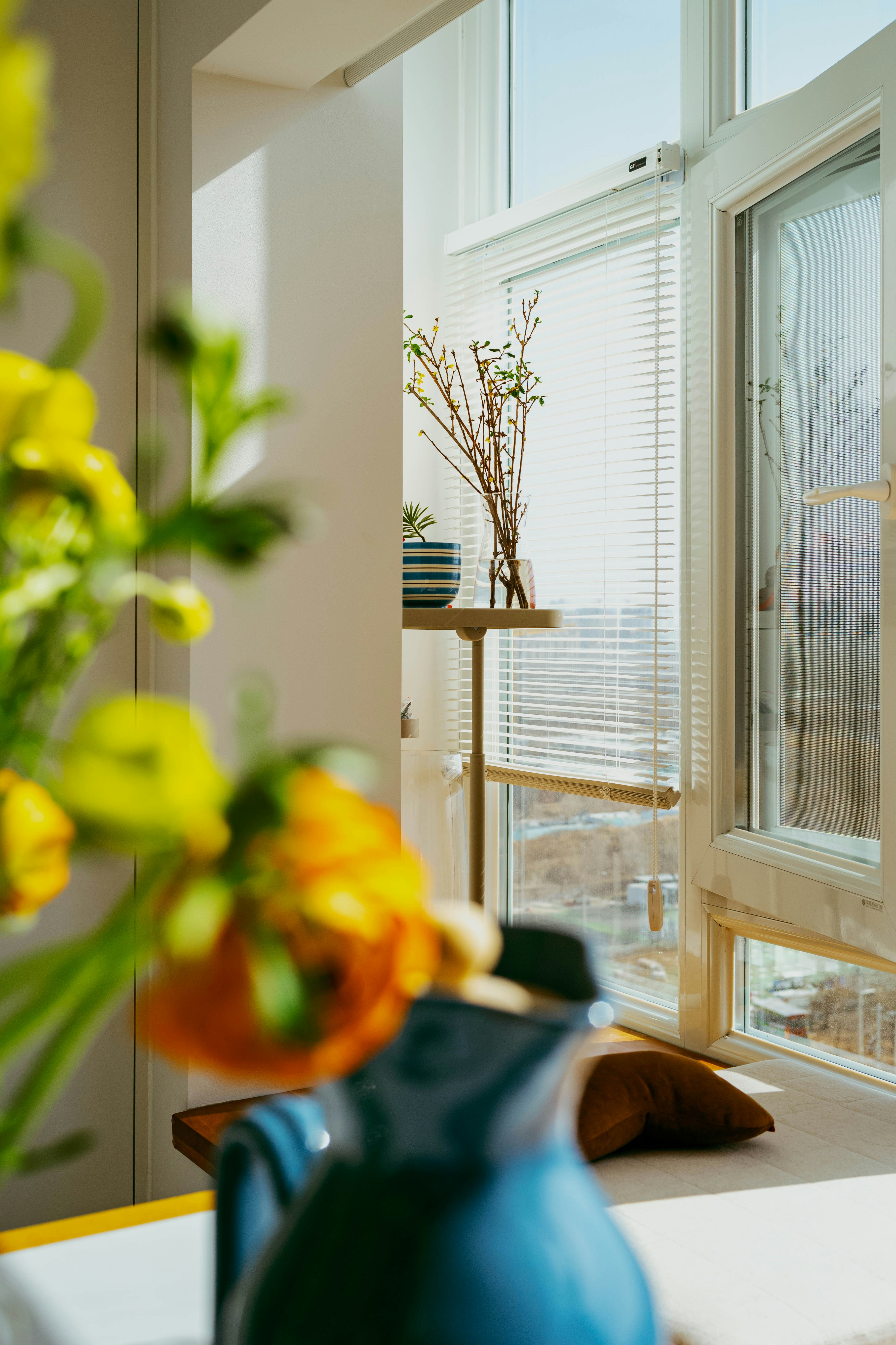 Photo by tommaomaoer