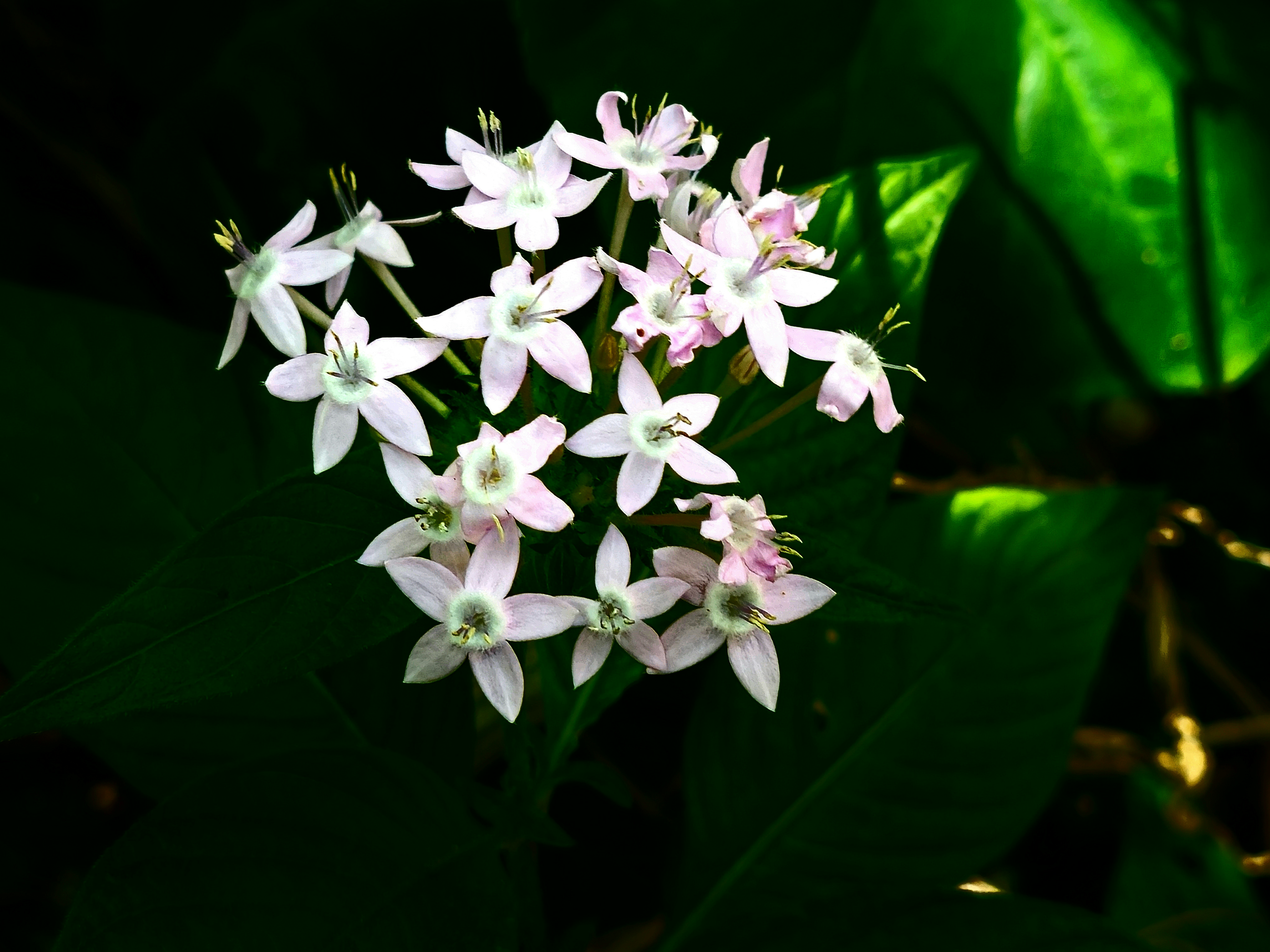 Photo by r112_az