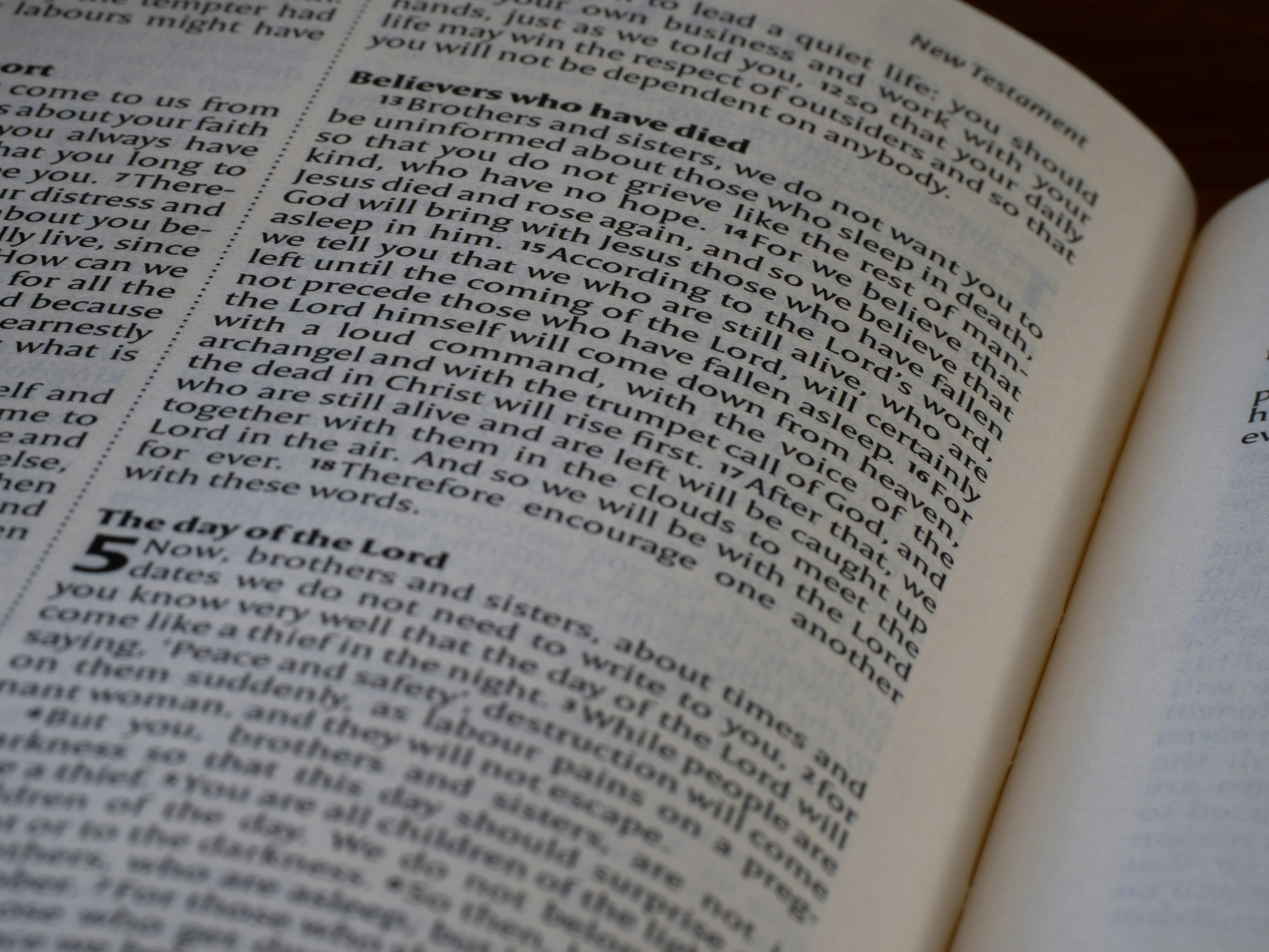 Photo by brett_jordan