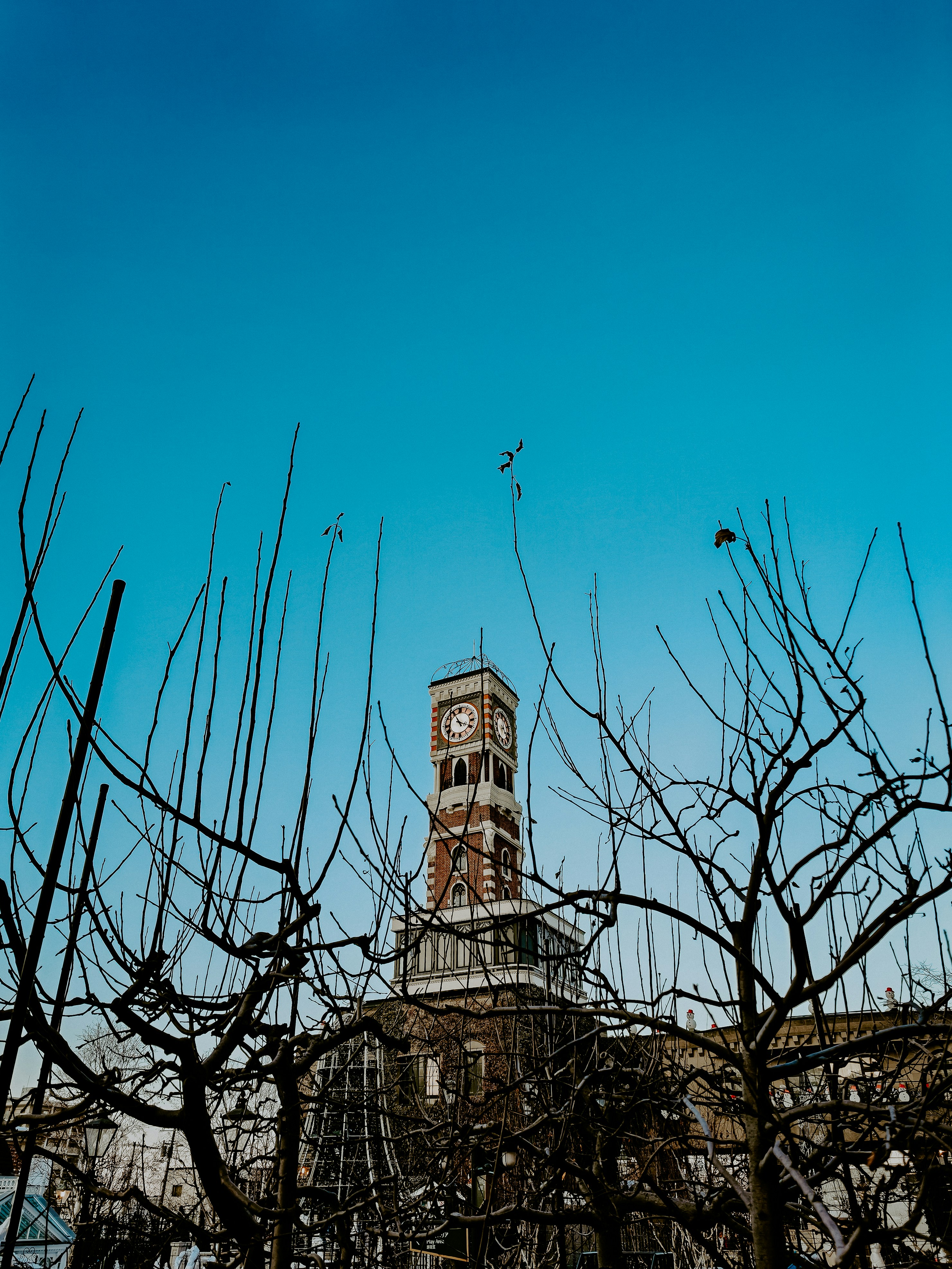 Photo by keirayukiii