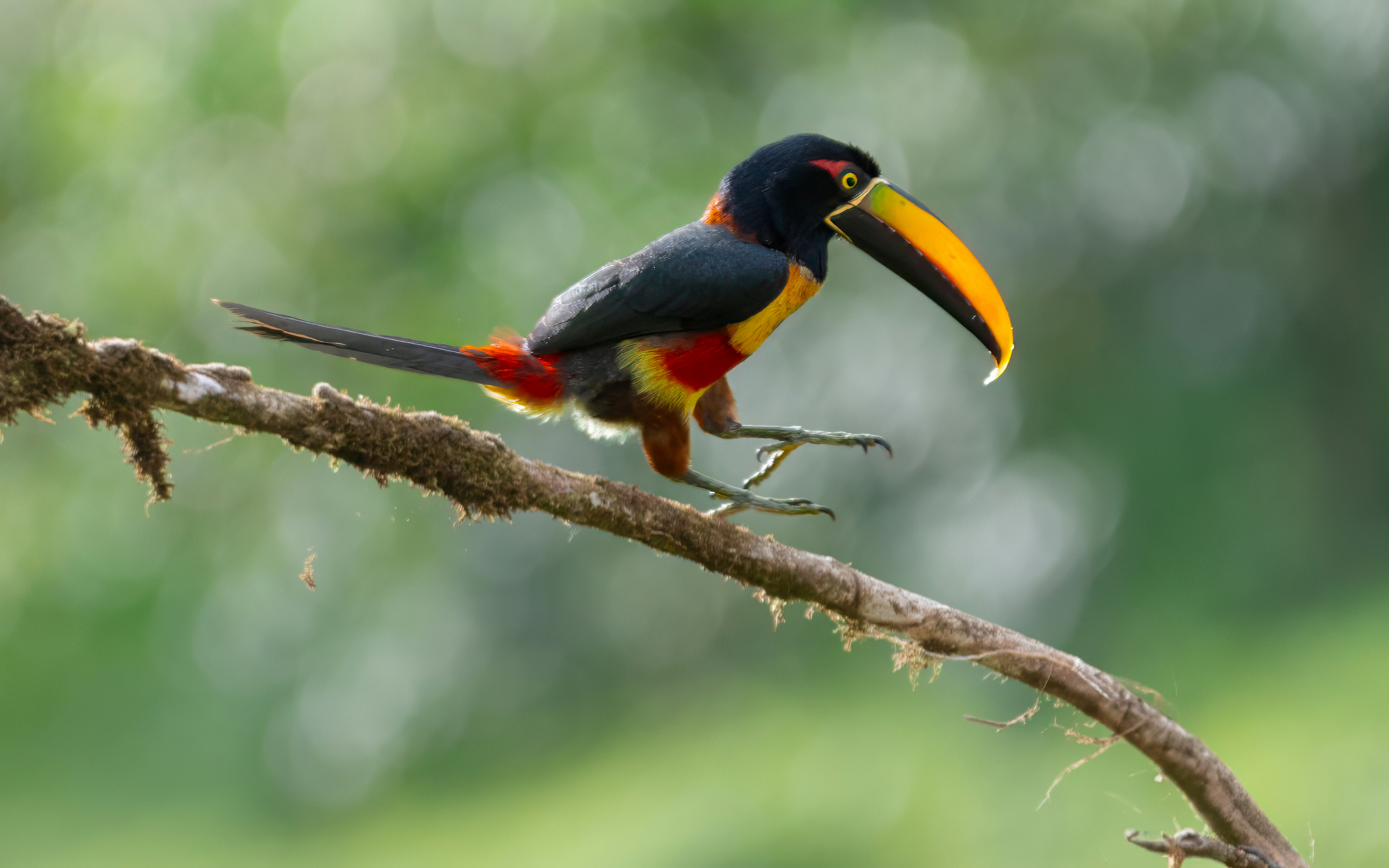 Photo by rob_bird_photography