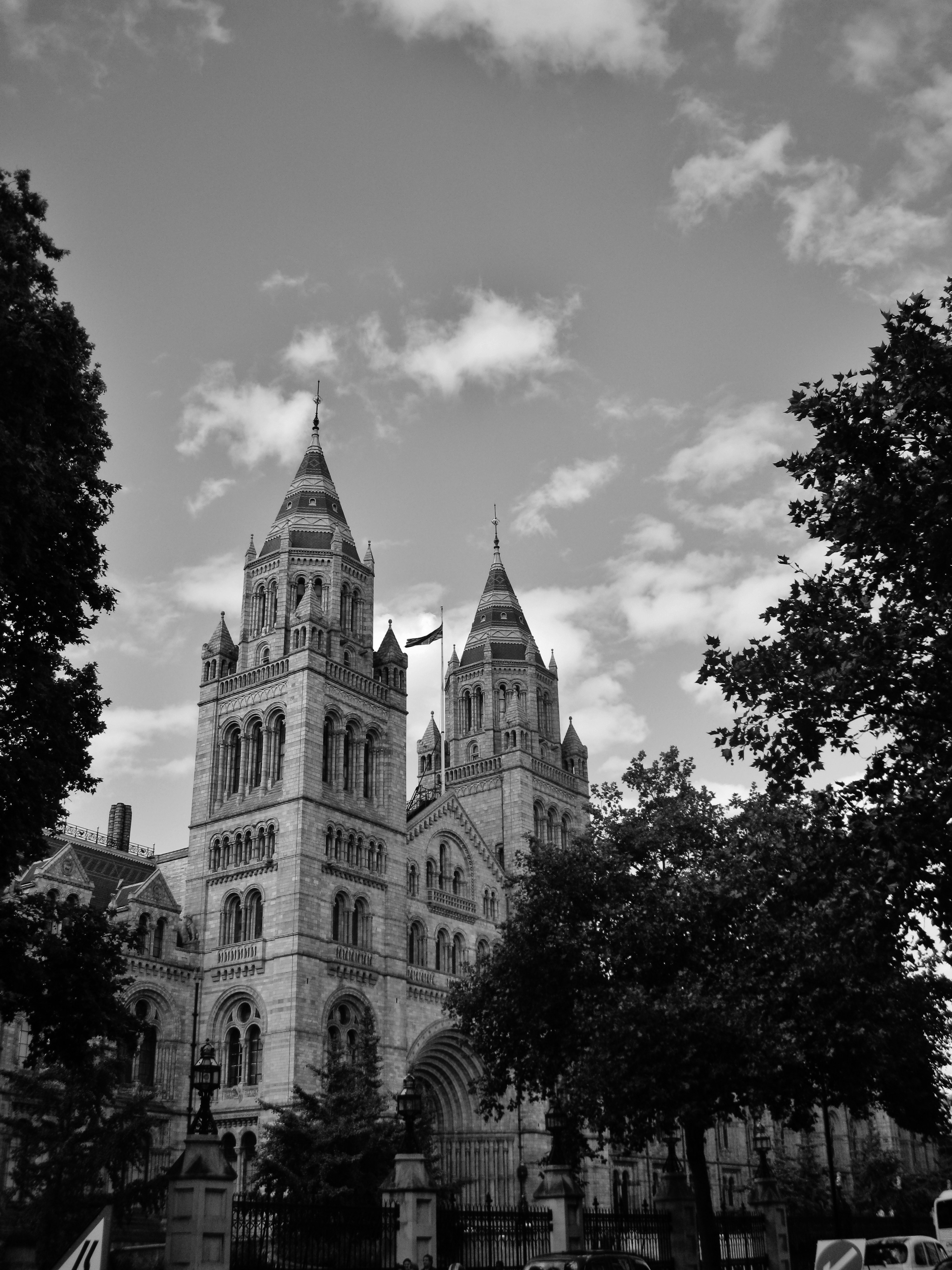 Photo by sewerynoseweryn