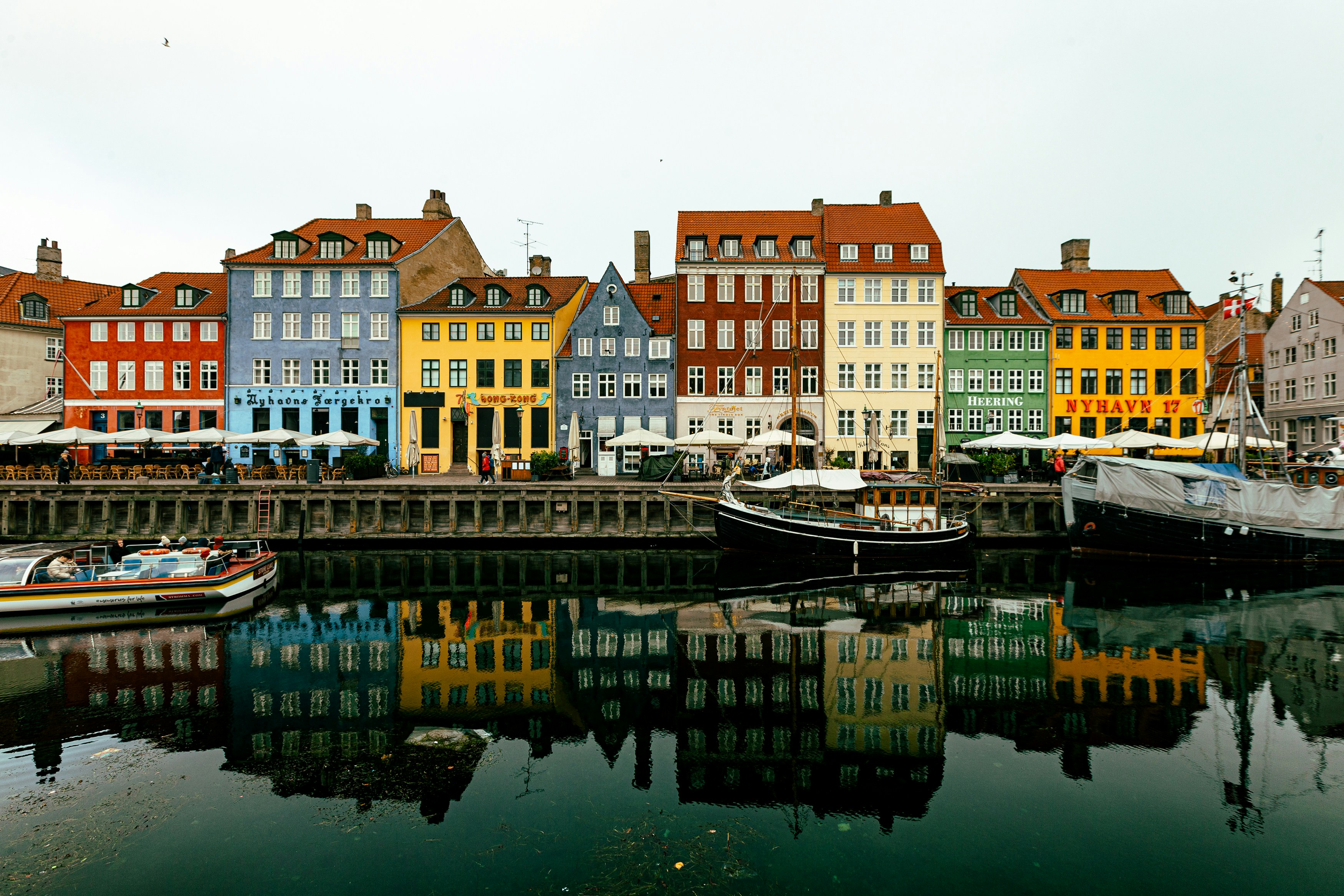 trip gallery picture