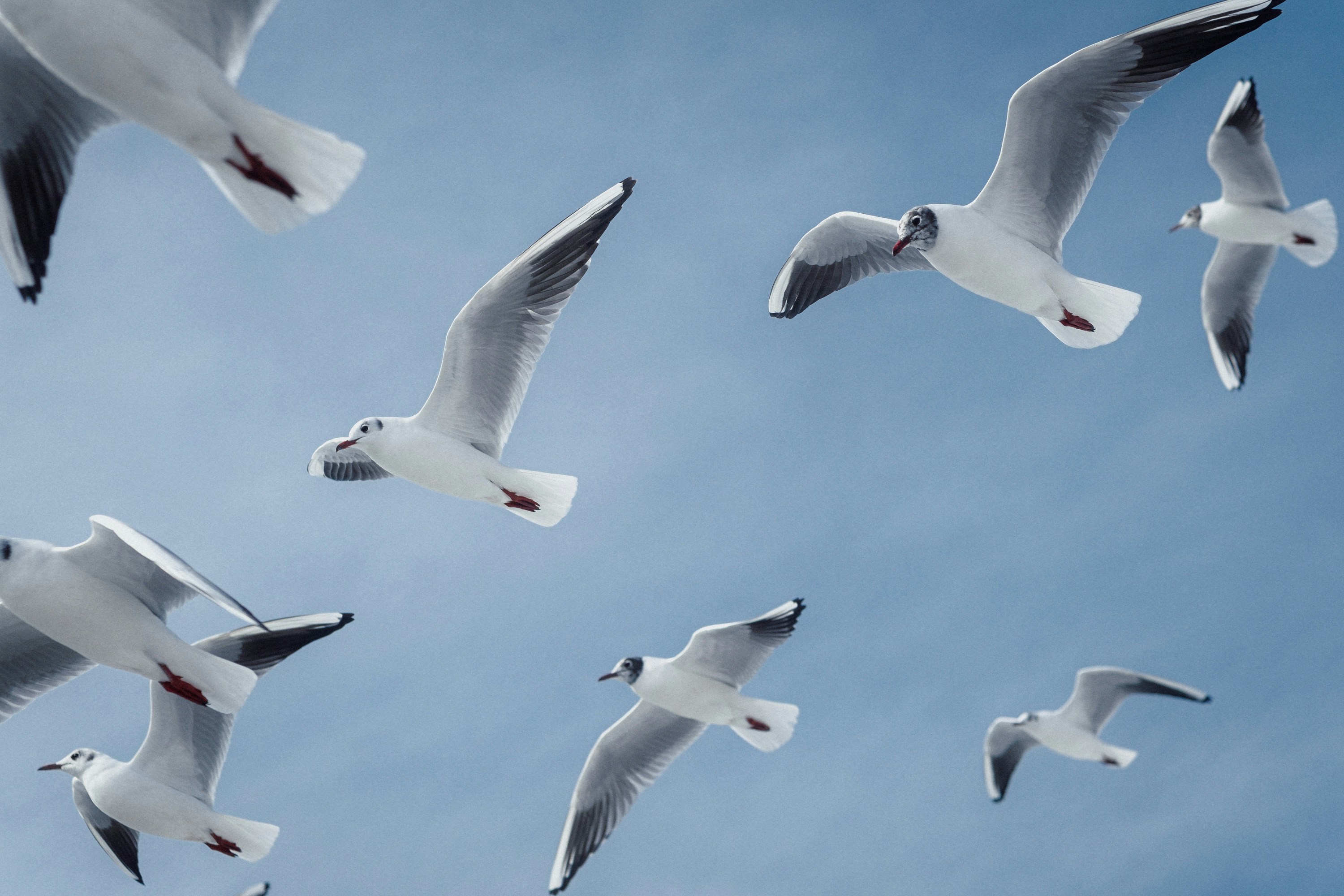 Photo by valentinakond