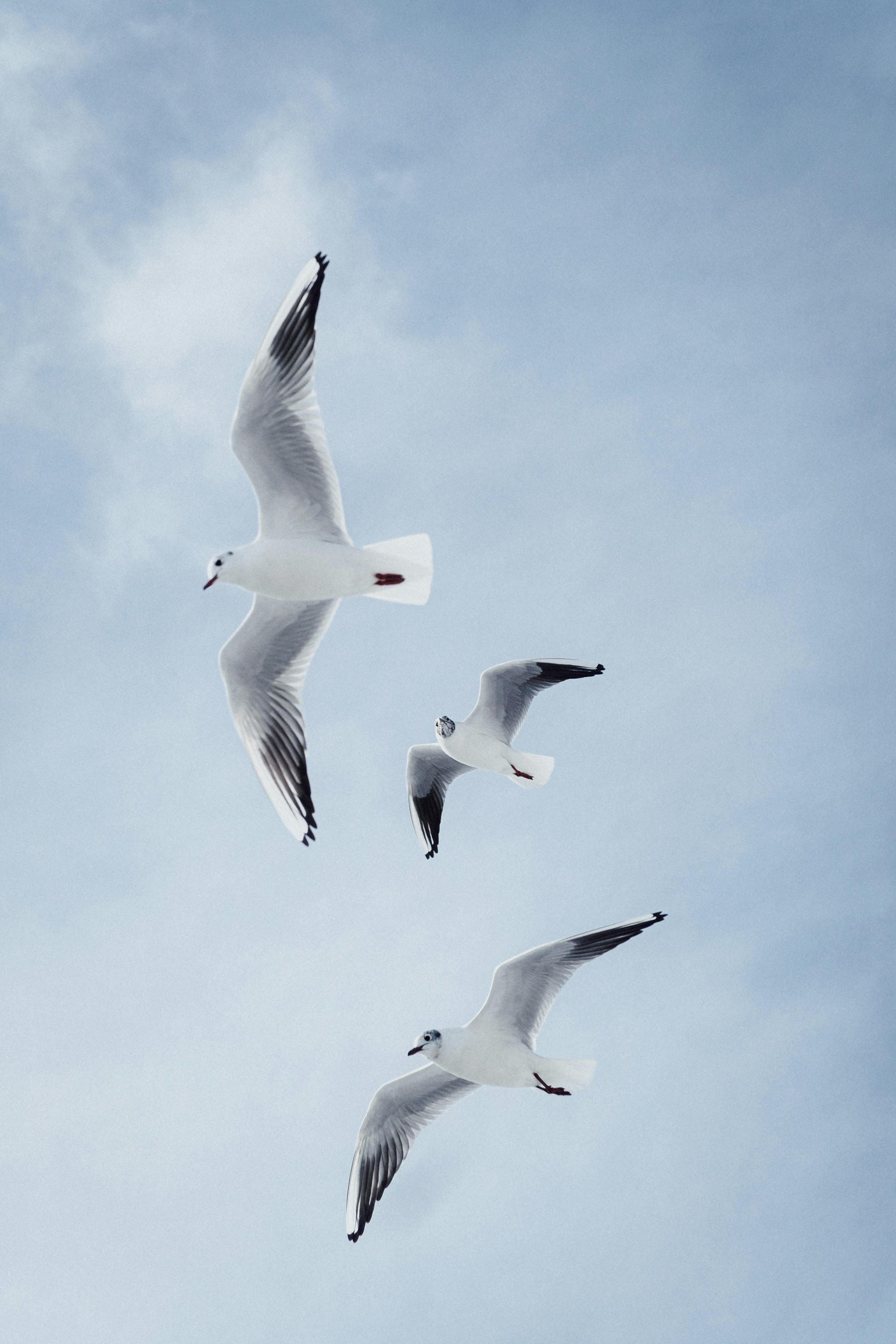 Photo by valentinakond