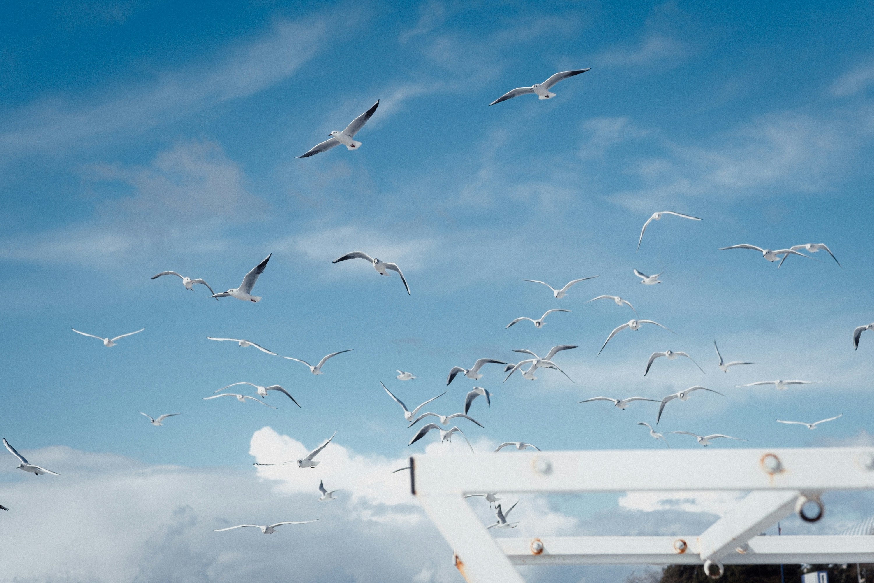 Photo by valentinakond