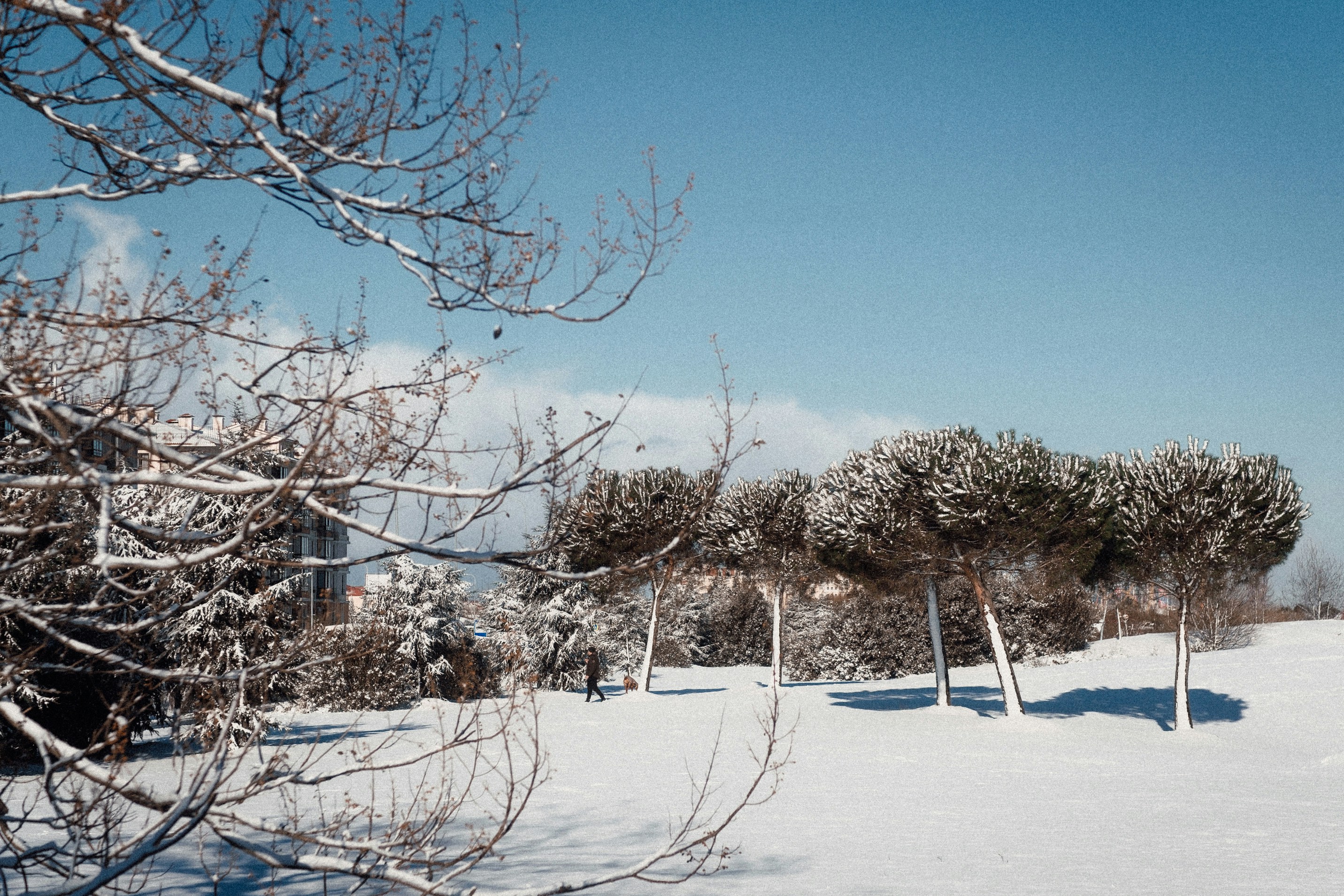 Photo by valentinakond