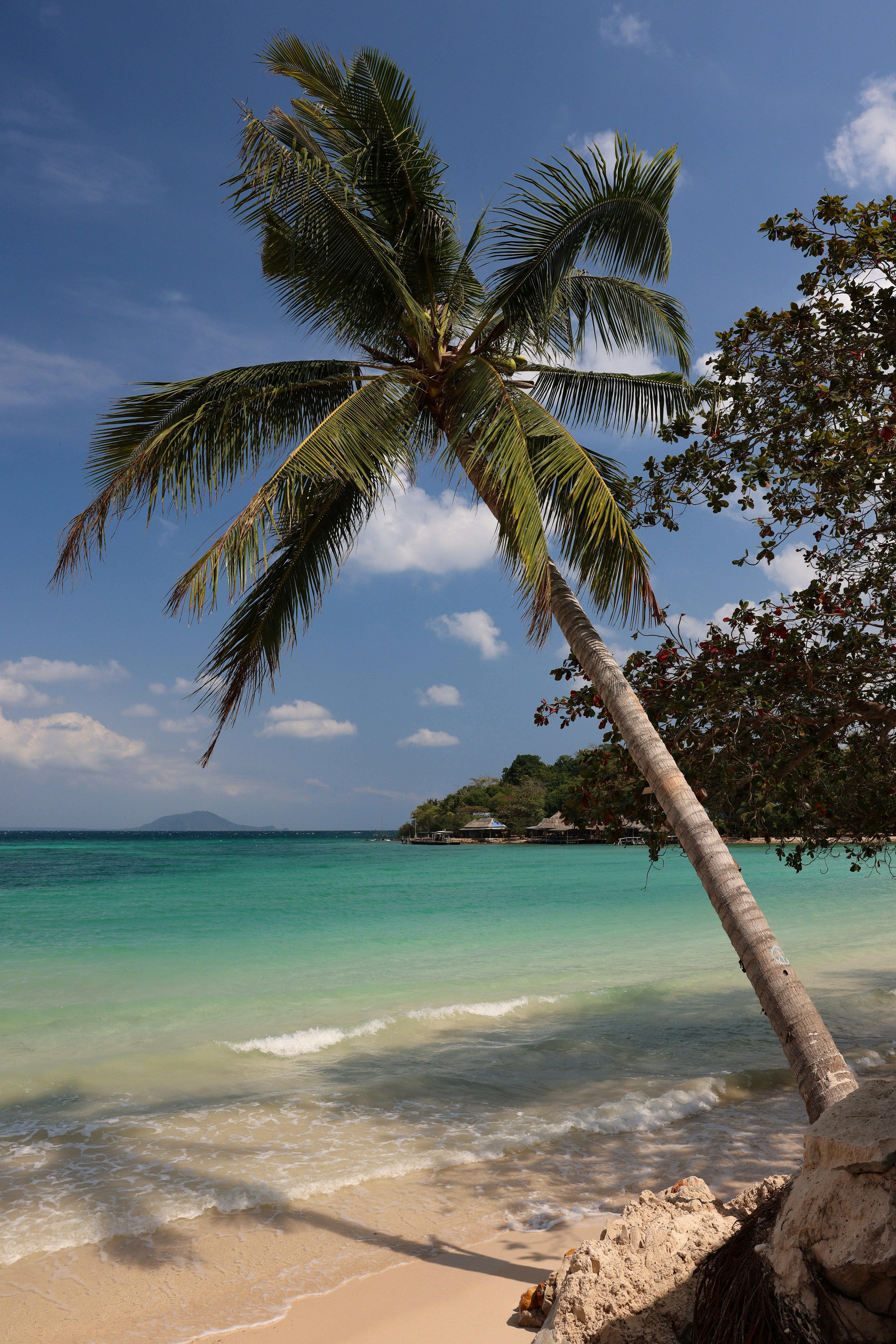 Zatoka Pucka Wing Foil