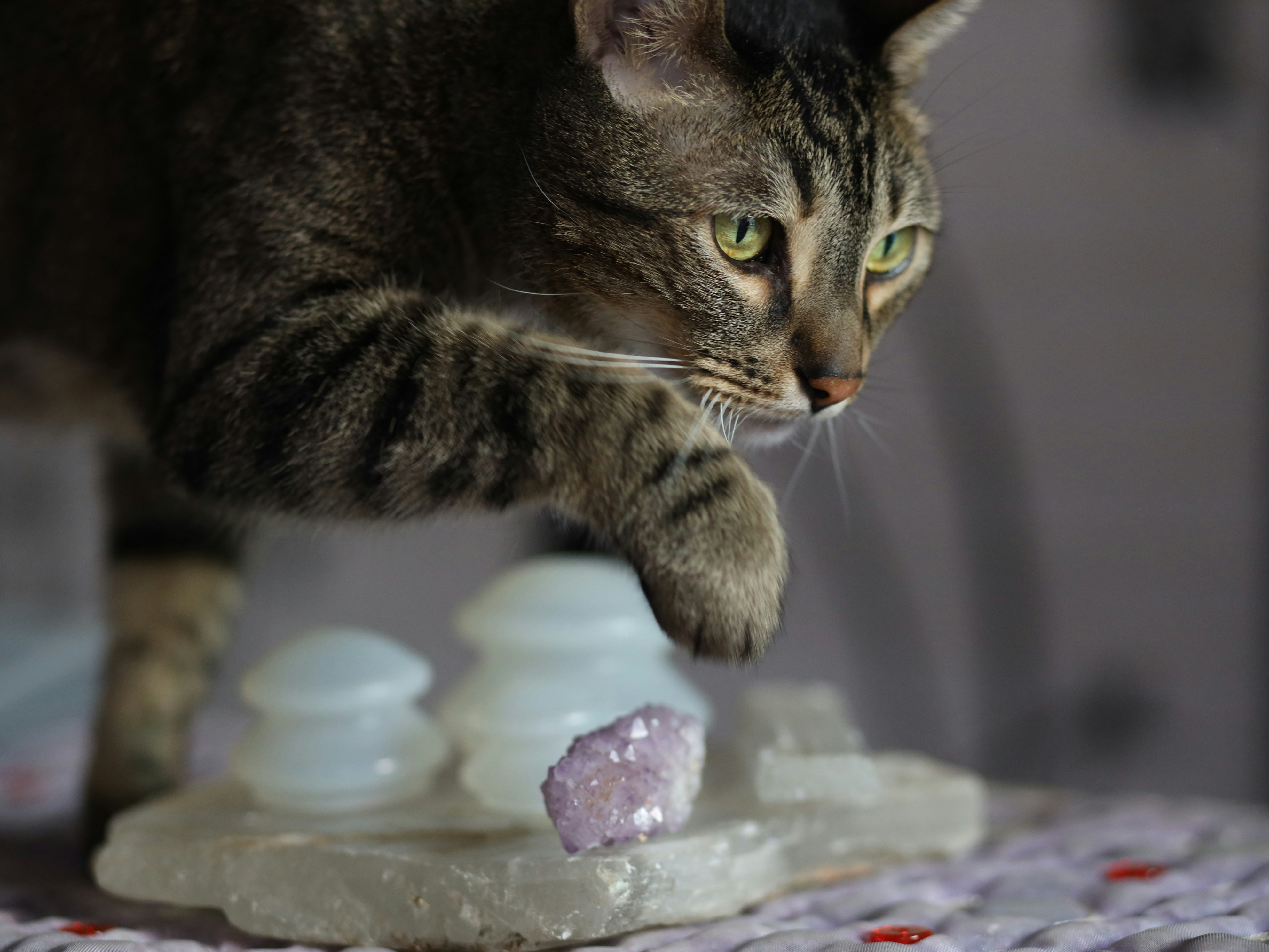 20. Frozen Treats for Hot Days (image credits: unsplash)