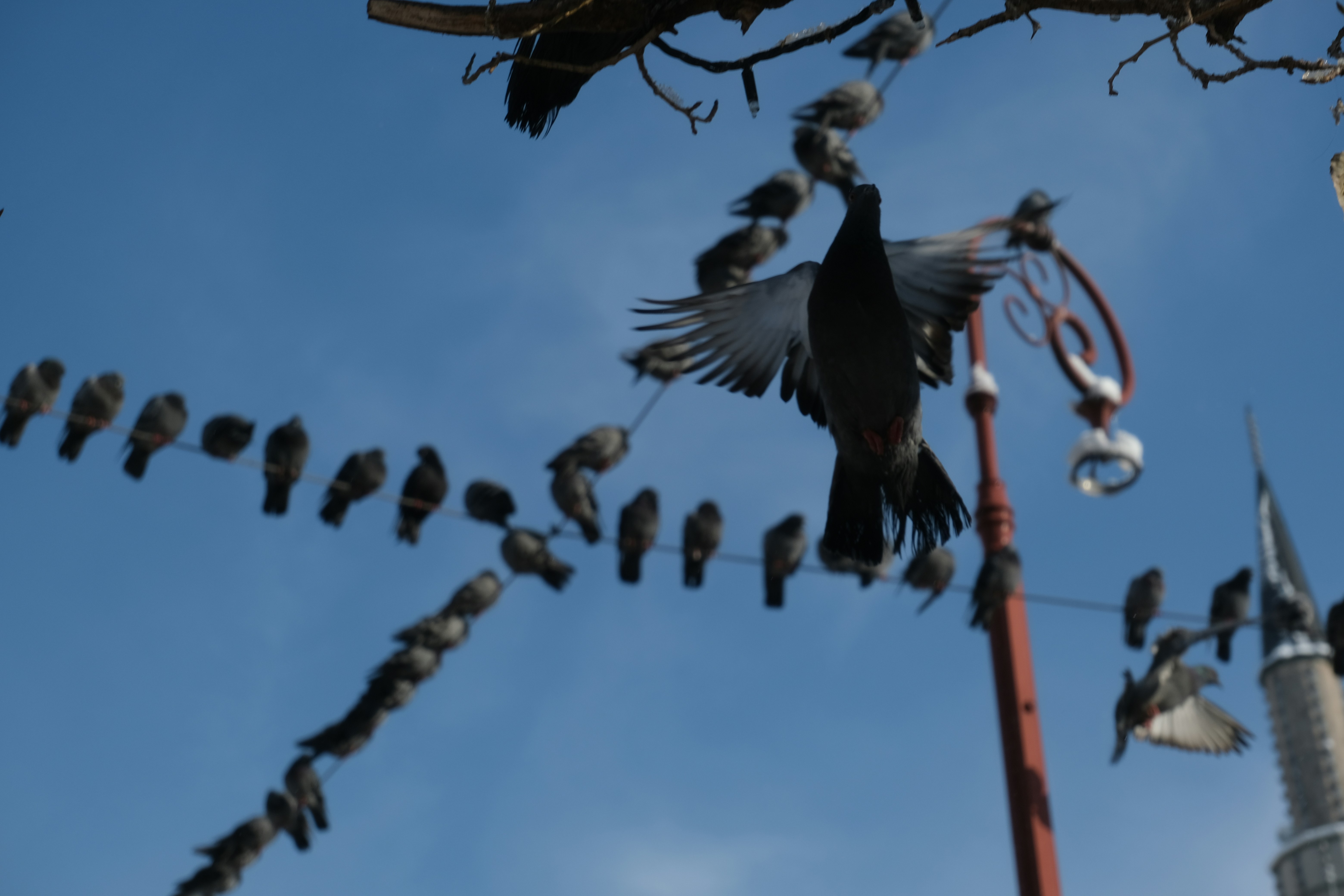 Baščaršija photo 3