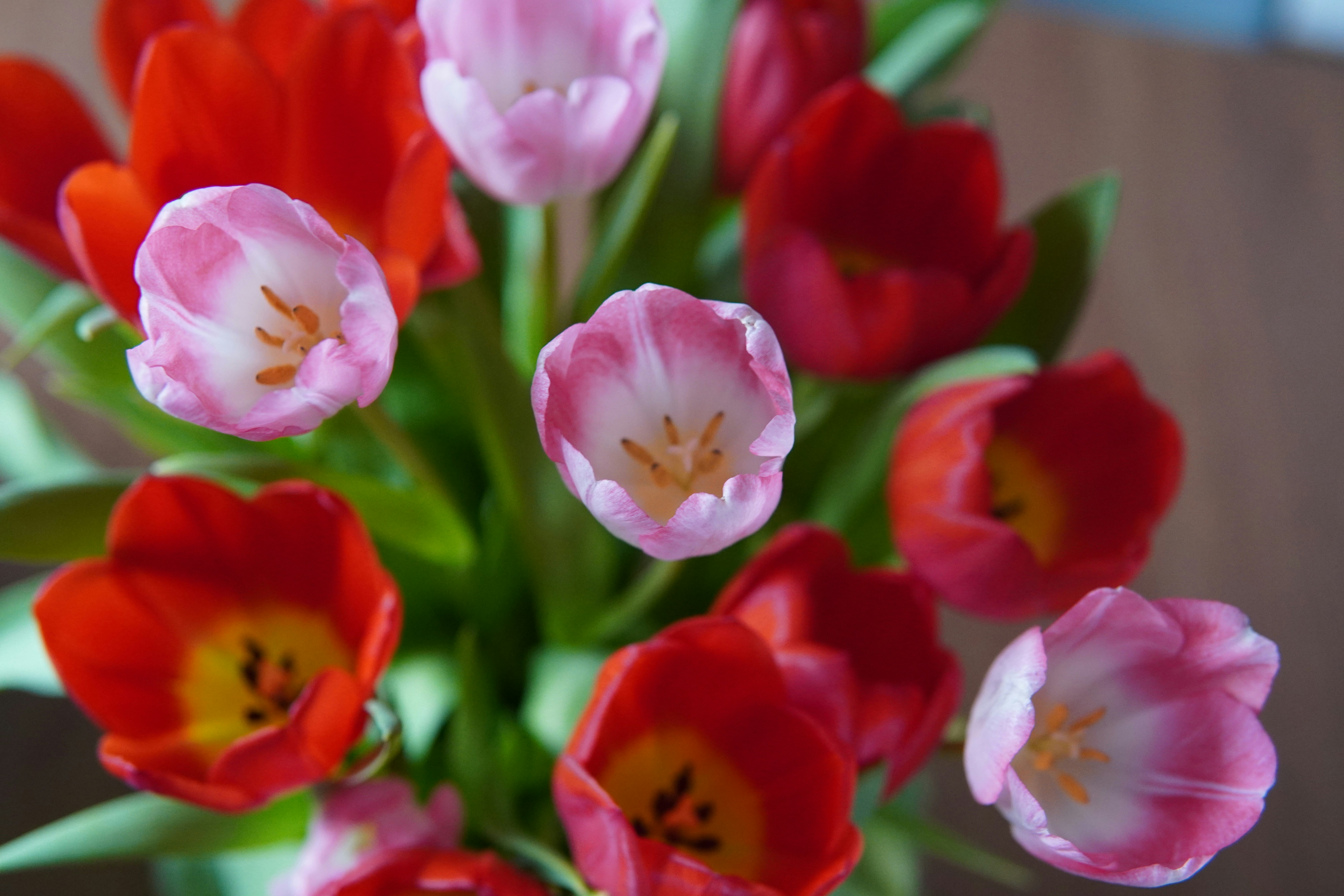 A vase filled with lots of pink and red flowers