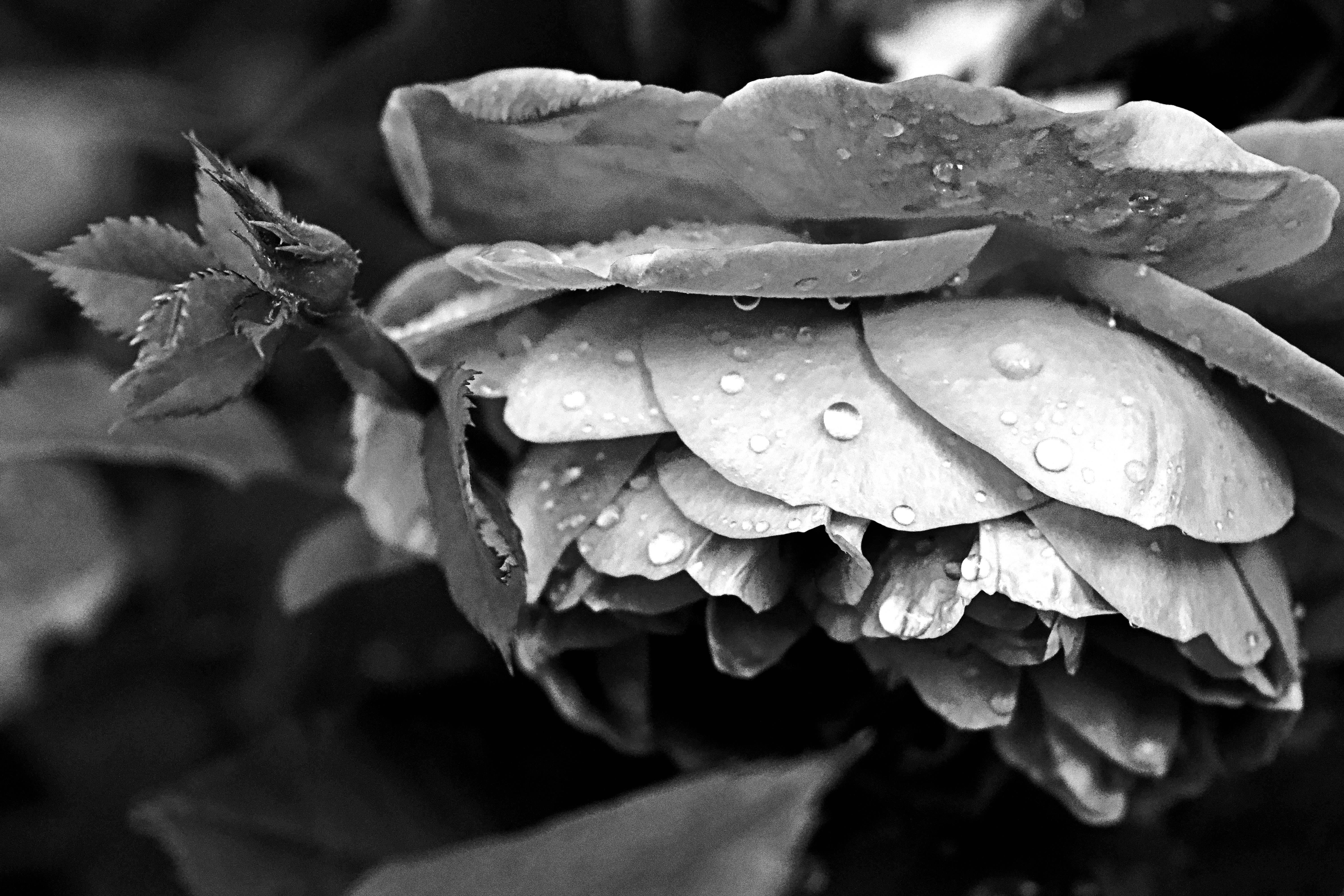 Photo by tiffanymarie