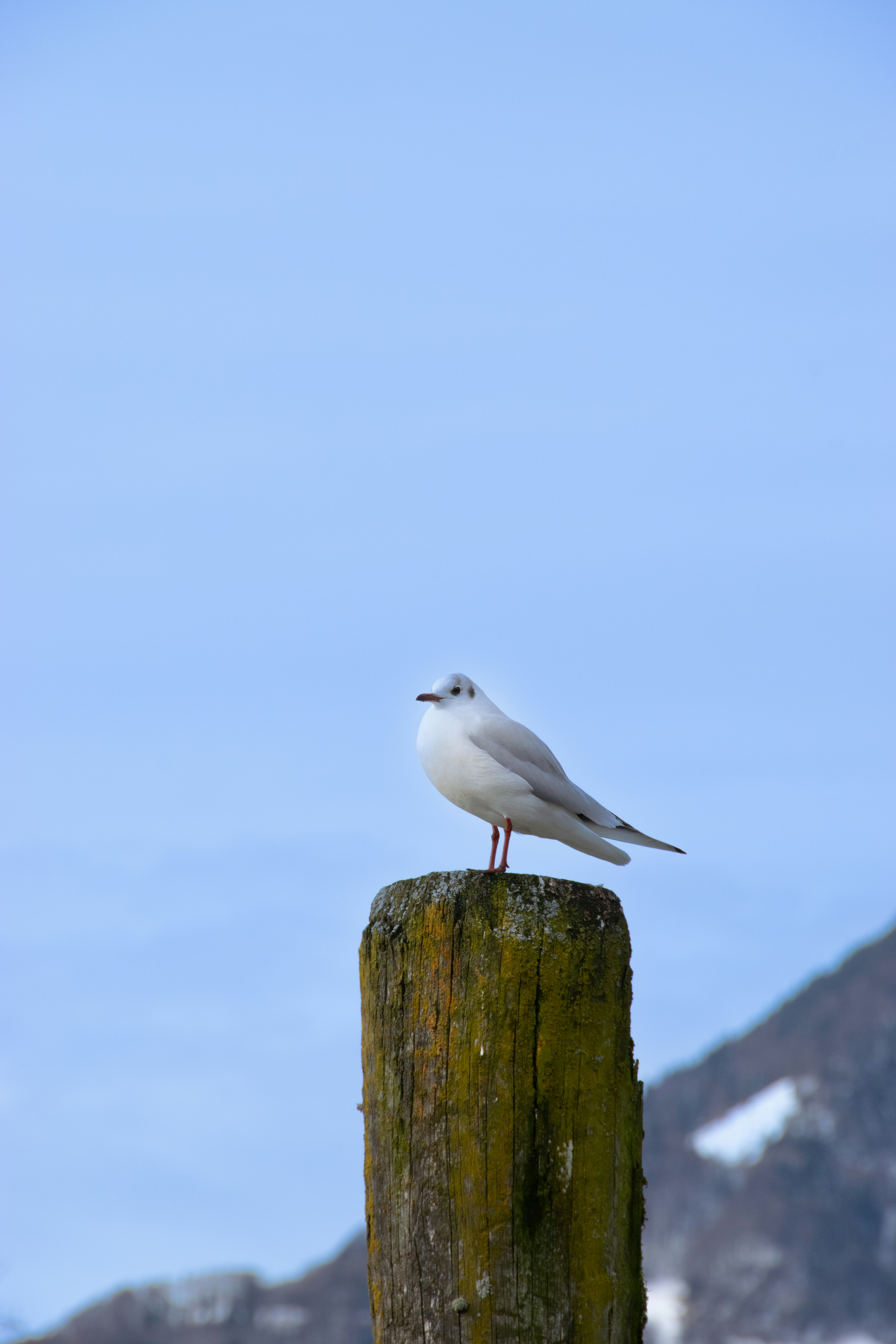 Photo by tiffanymarie