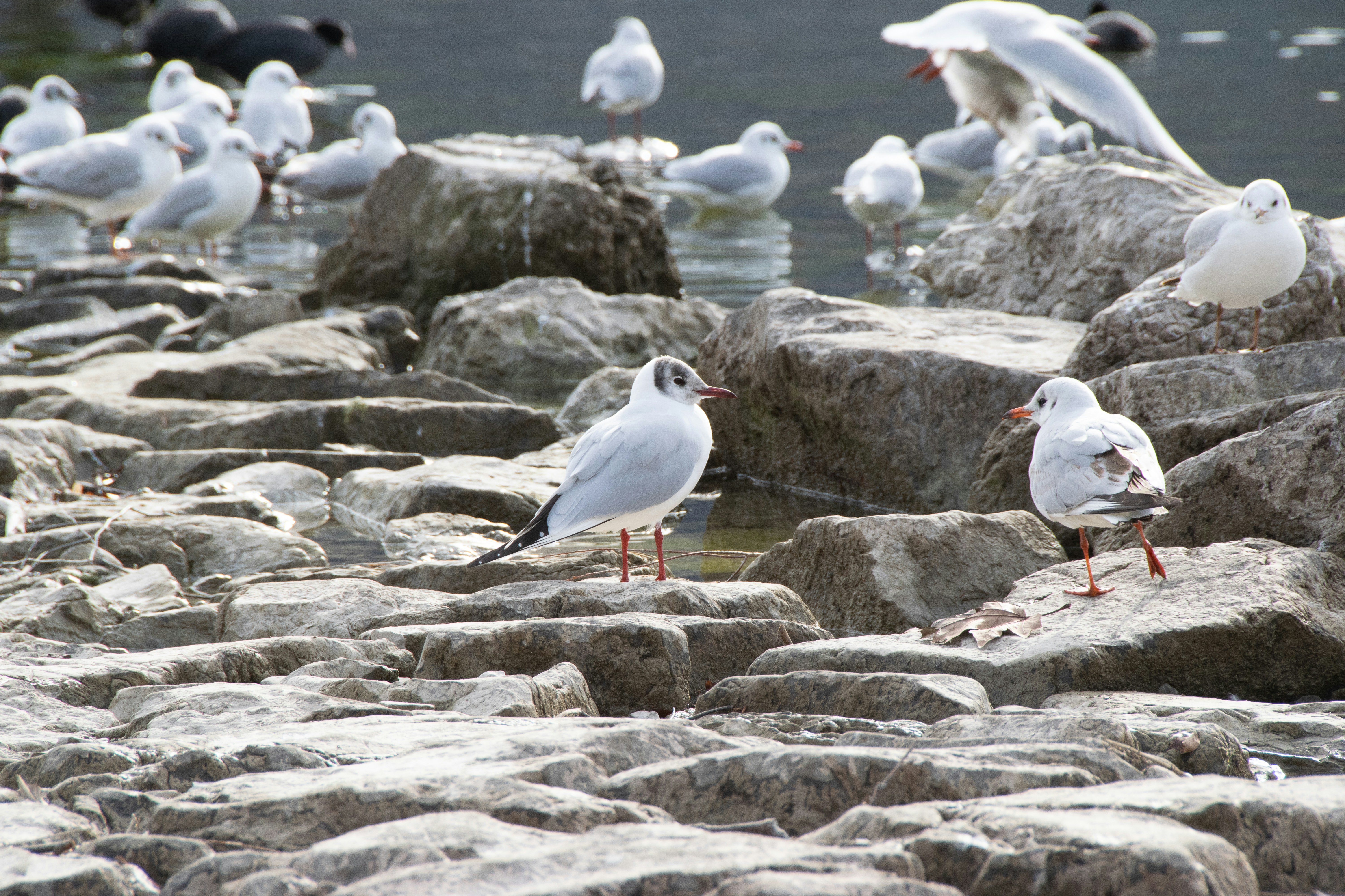 Photo by tiffanymarie