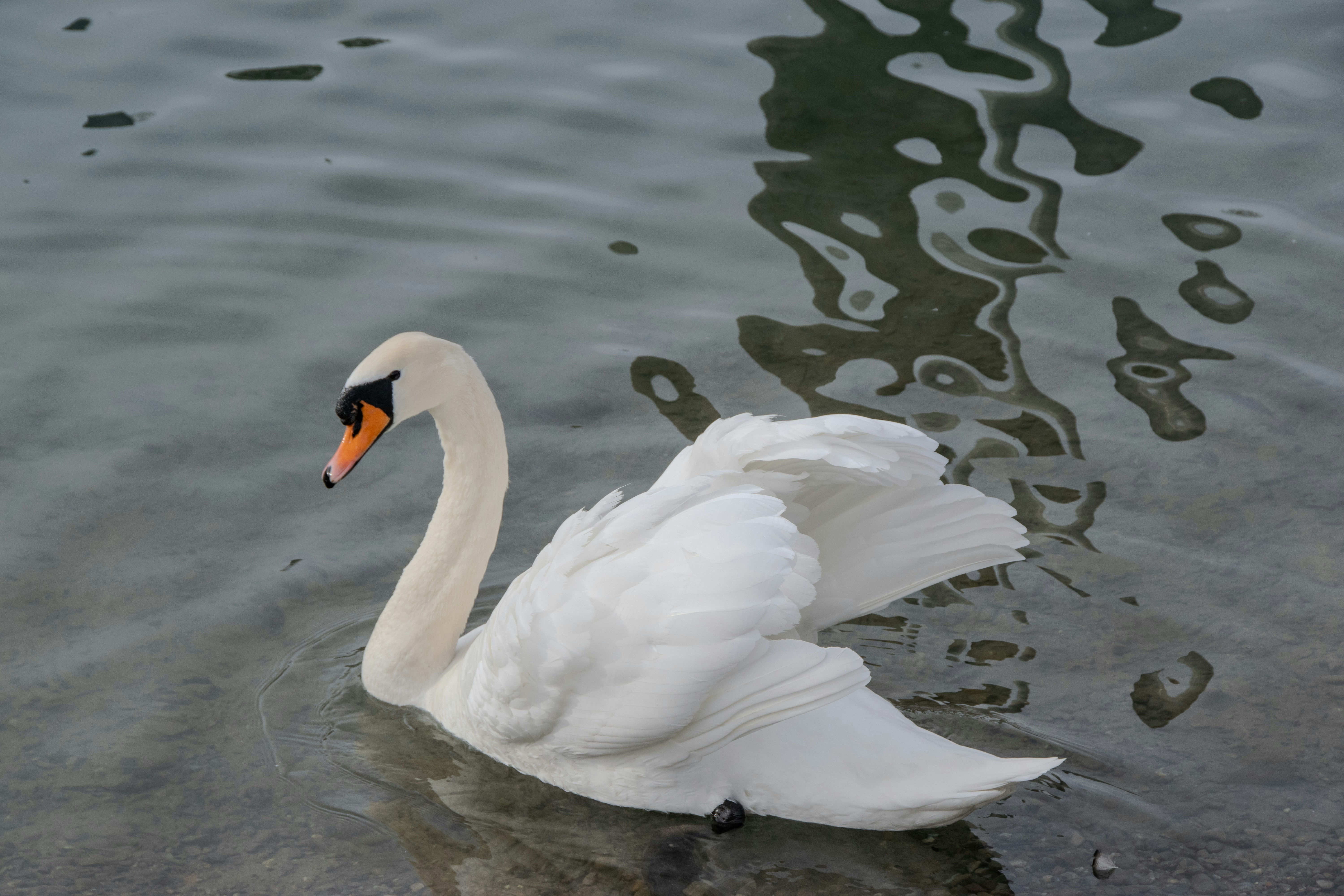 Photo by tiffanymarie