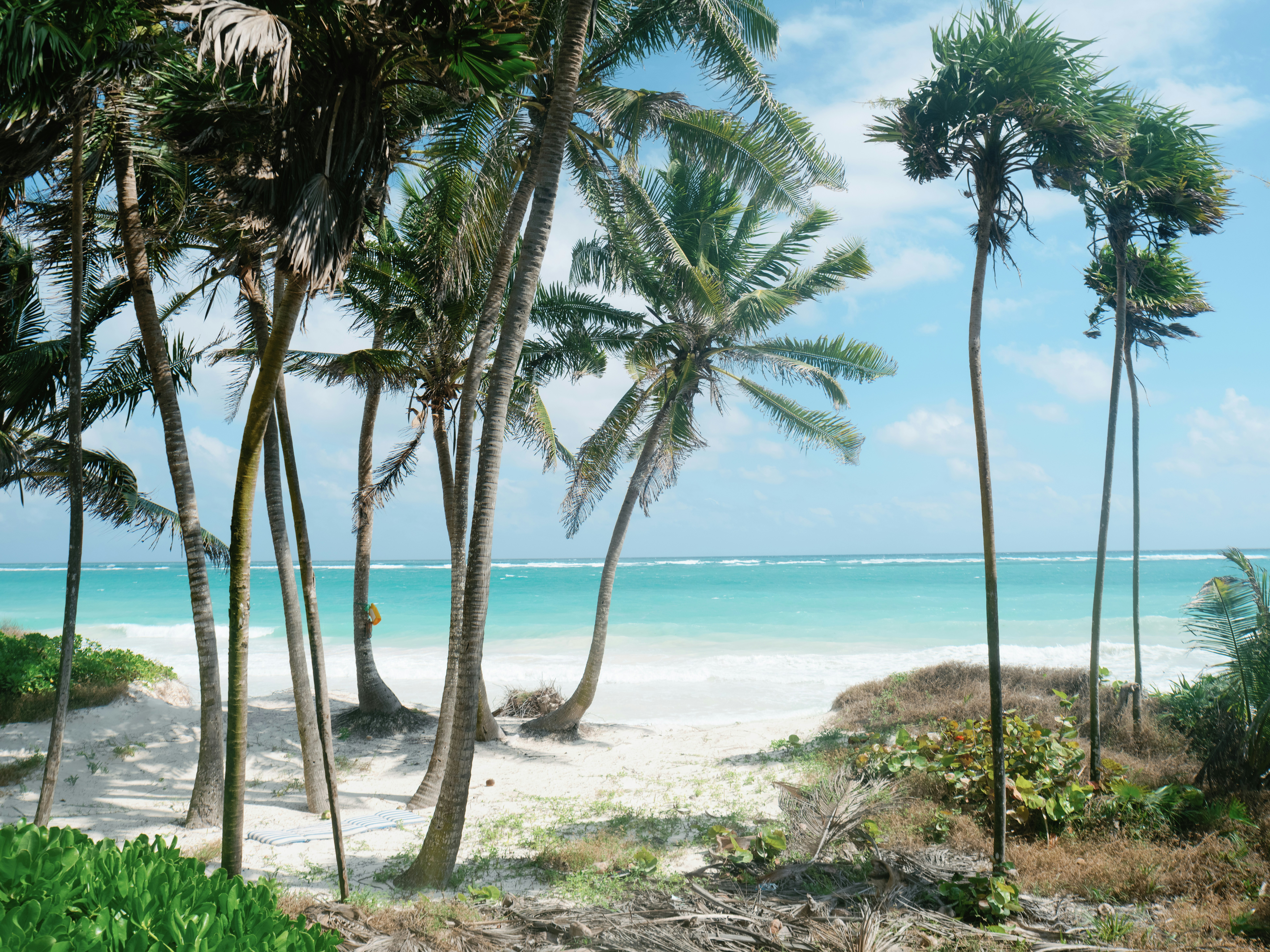 Palmidega valge liivarand Mombasas India ookeani rannikul, türkiissinine vesi ja sinine taevas