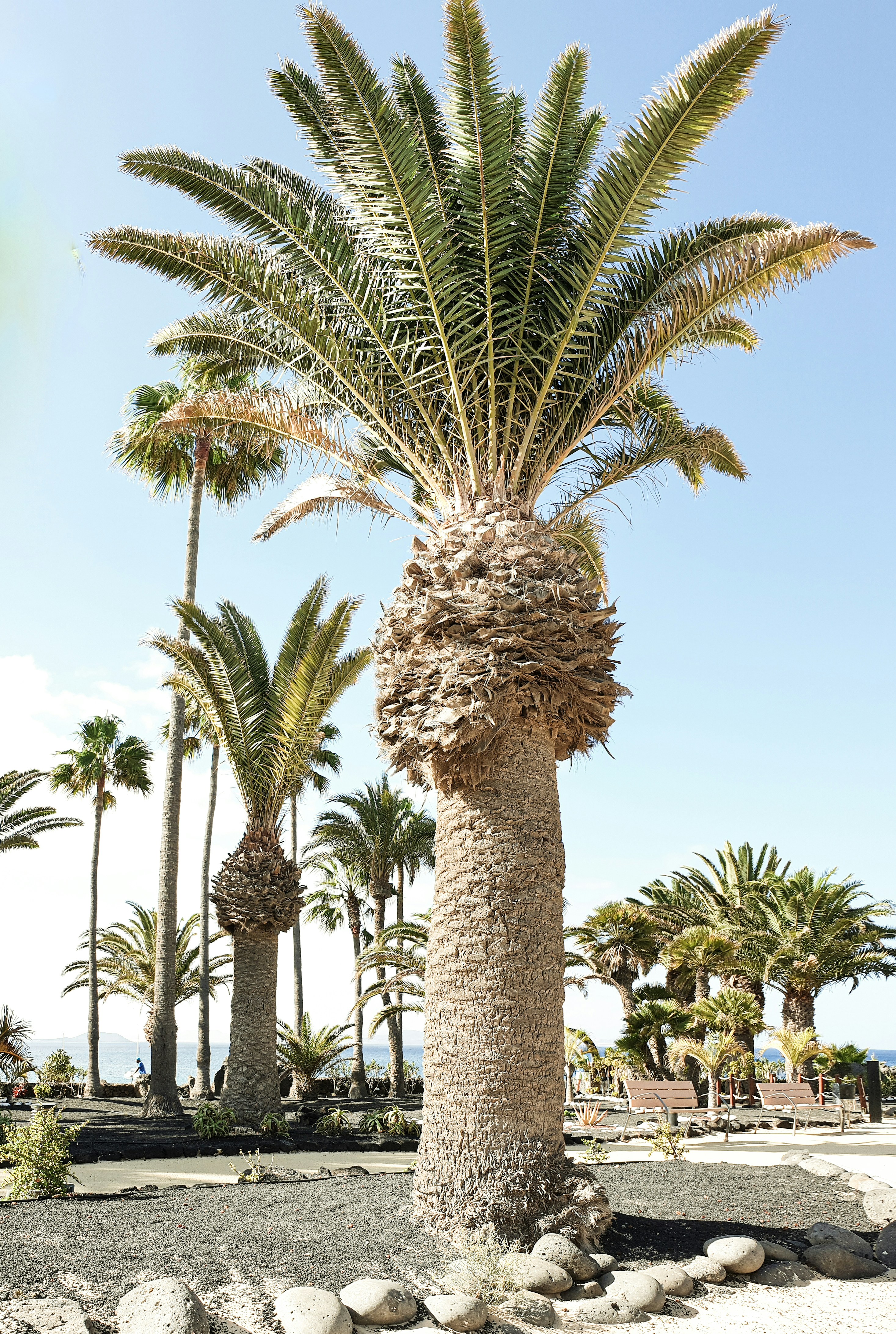 Photo by ali_rogue_images