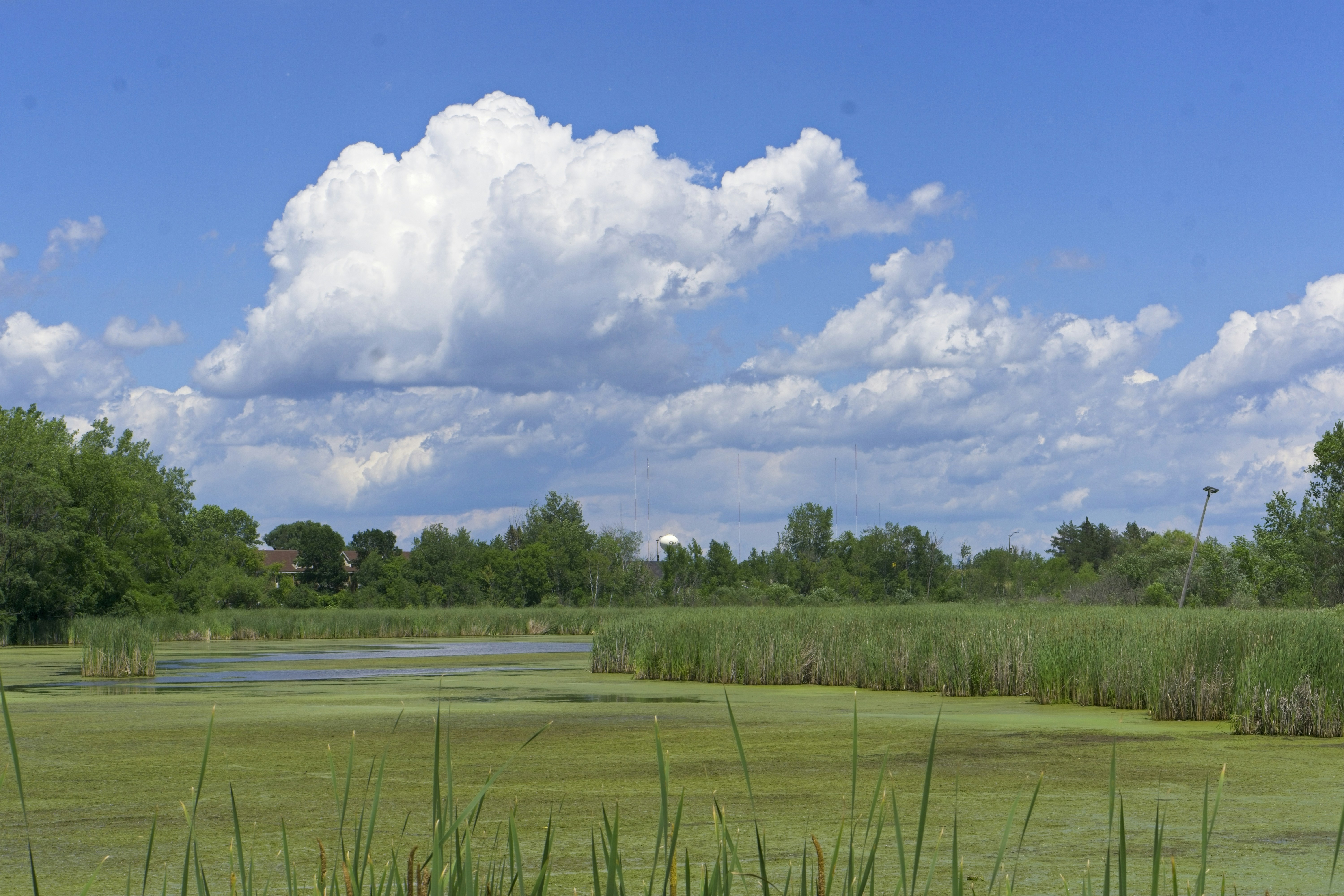 Photo by nickringsmuth