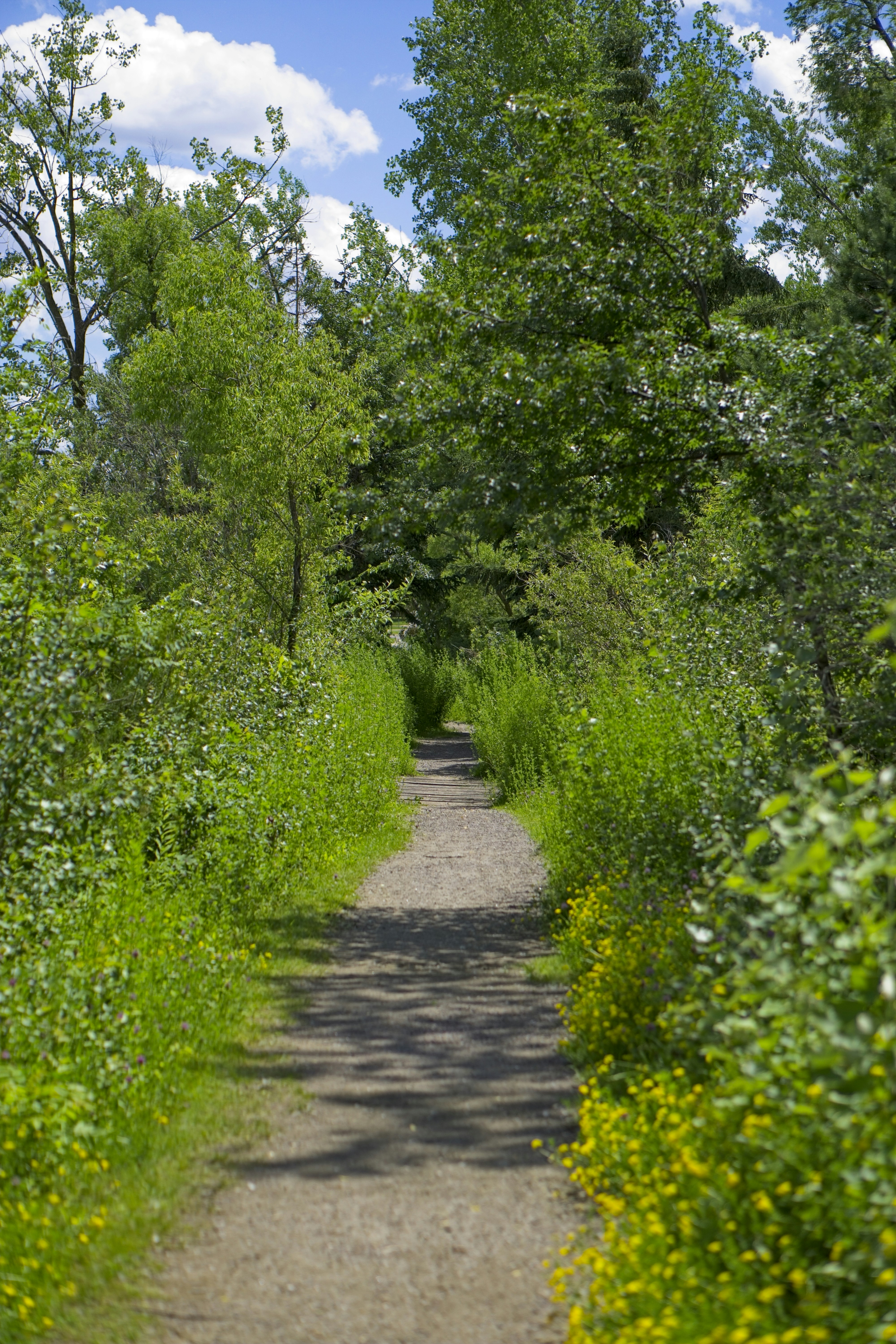 Photo by nickringsmuth