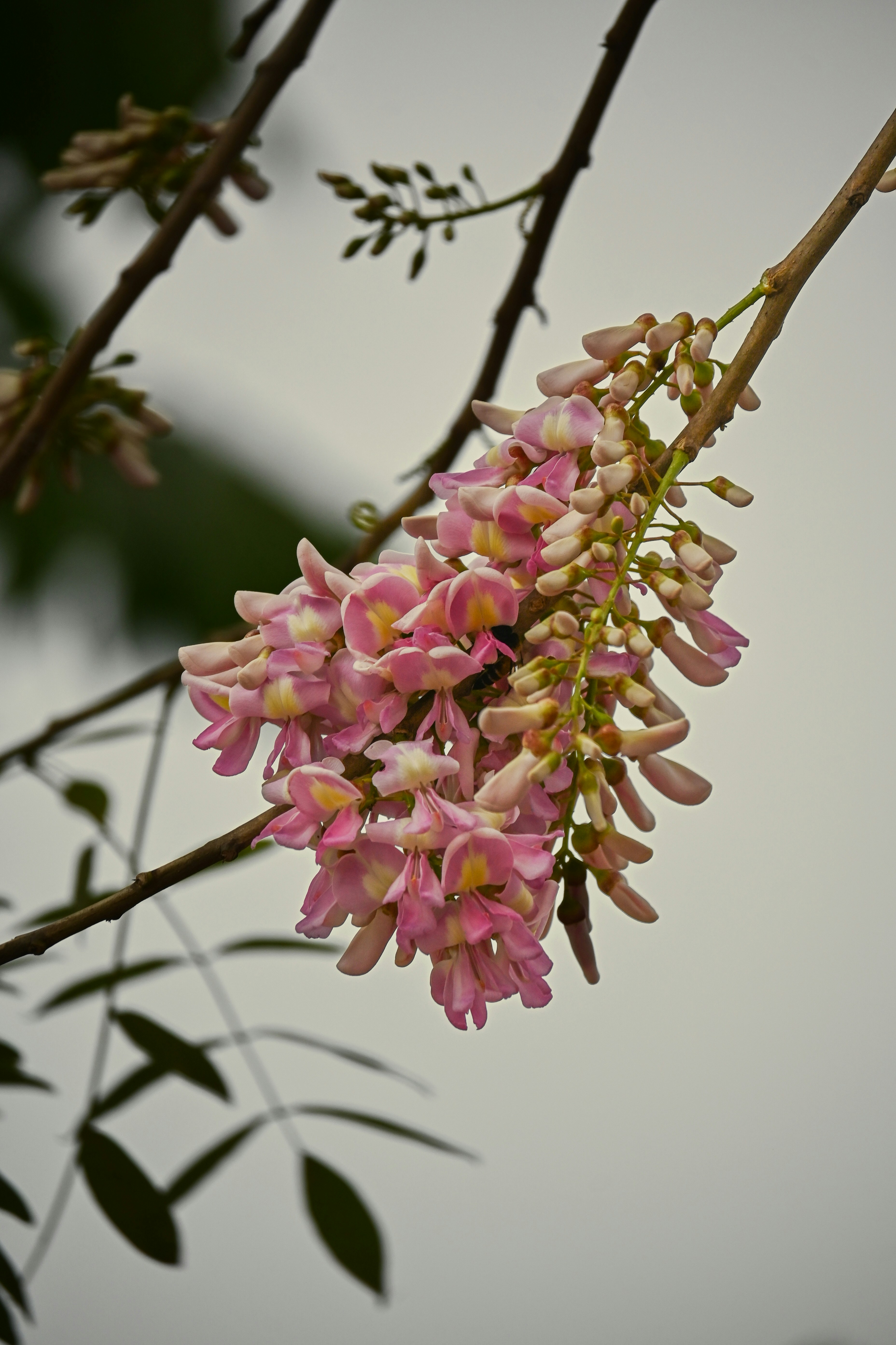 Photo by kolkatarchobiwala